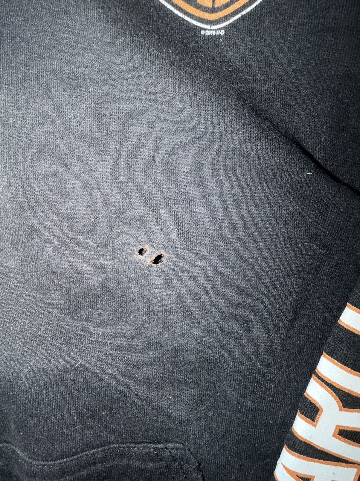 Harley Davidson Harley Davidson Motorcycles Full Zip Hoodie Sweatshirt 2019 Size US L / EU 52-54 / 3 - 5 Thumbnail