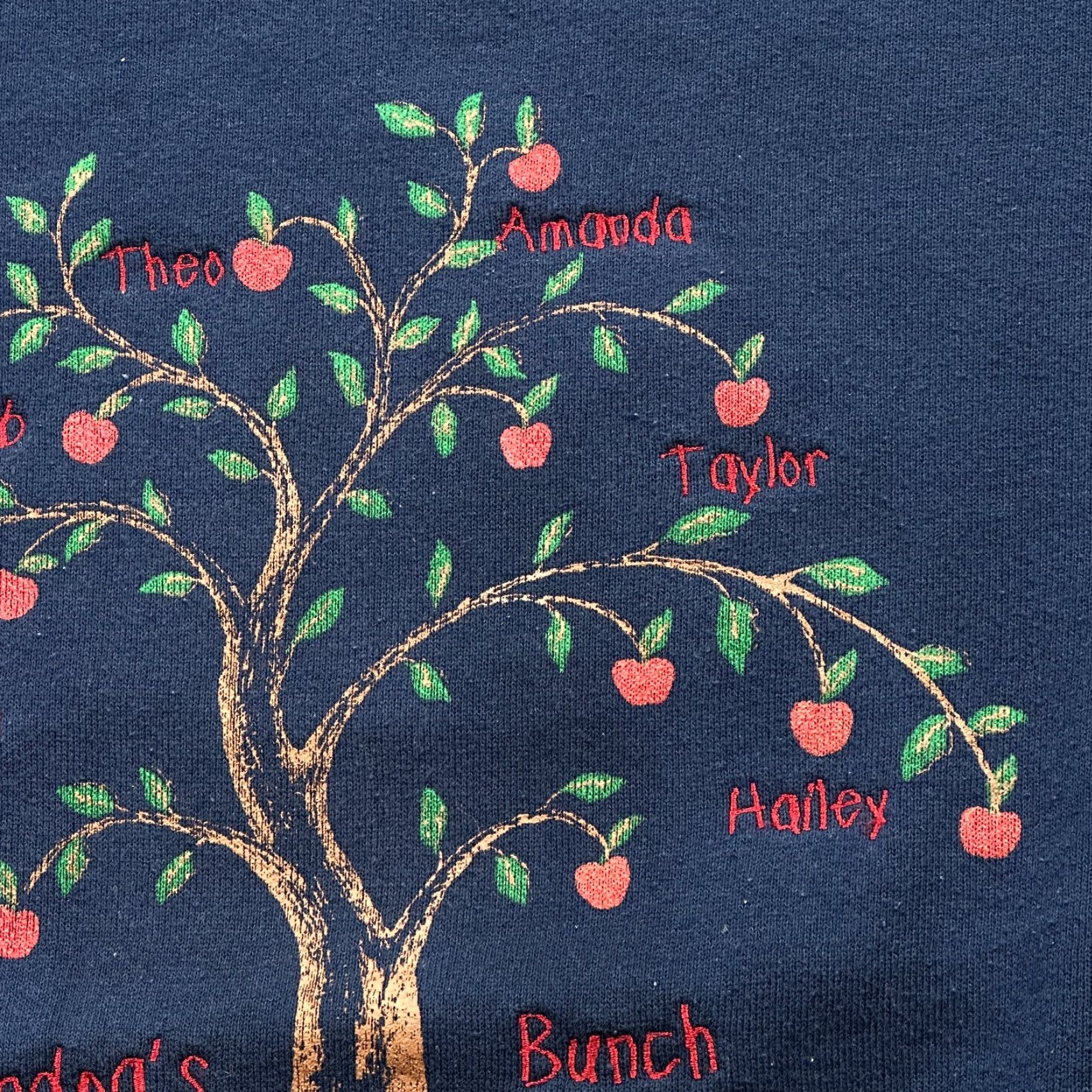 Jerzees VINTAGE Jerzees Sweatshirt Mens 2XL Blue Embroidered Family Tree USA Made 90s Size US XXL / EU 58 / 5 - 6 Thumbnail