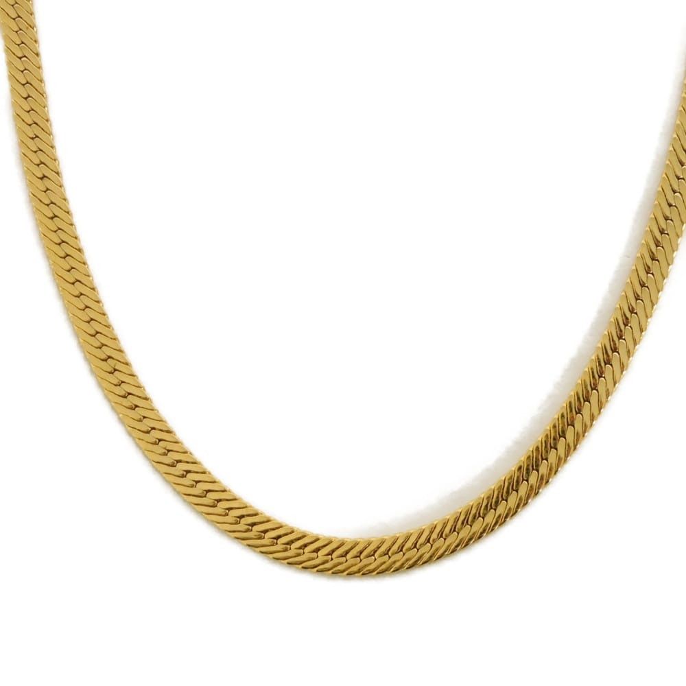 Givenchy Givenchy Givenchy Snake Chain Long Necklace Metal Necklace DUTY FREE for USA Size ONE SIZE - 1 Thumbnail