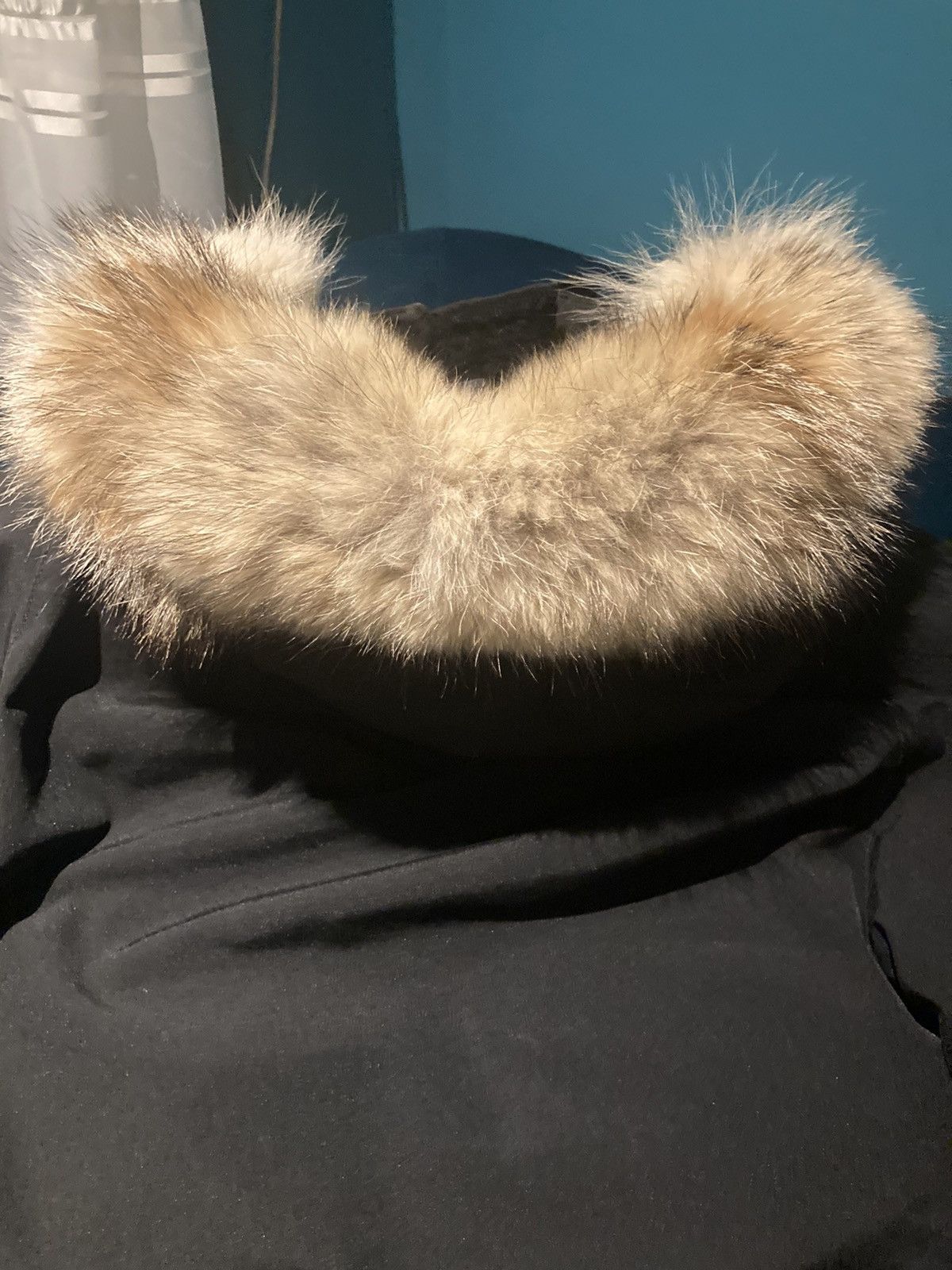 Canada Goose Legendary Canada Goose Expedition Parka Jacket Coyote Fur Size US XS / EU 42 / 0 - 5 Thumbnail