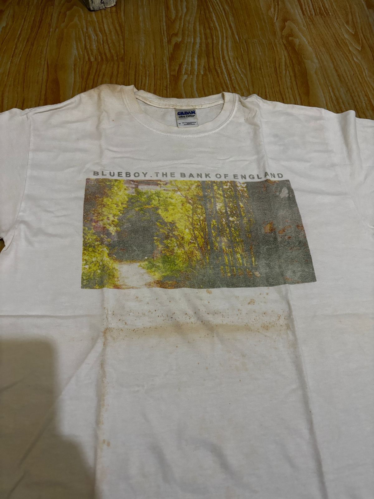 Band Tees Vtg Y2k Blueboy the field mice The Orchids sarah record Size US M / EU 48-50 / 2 - 1 Thumbnail