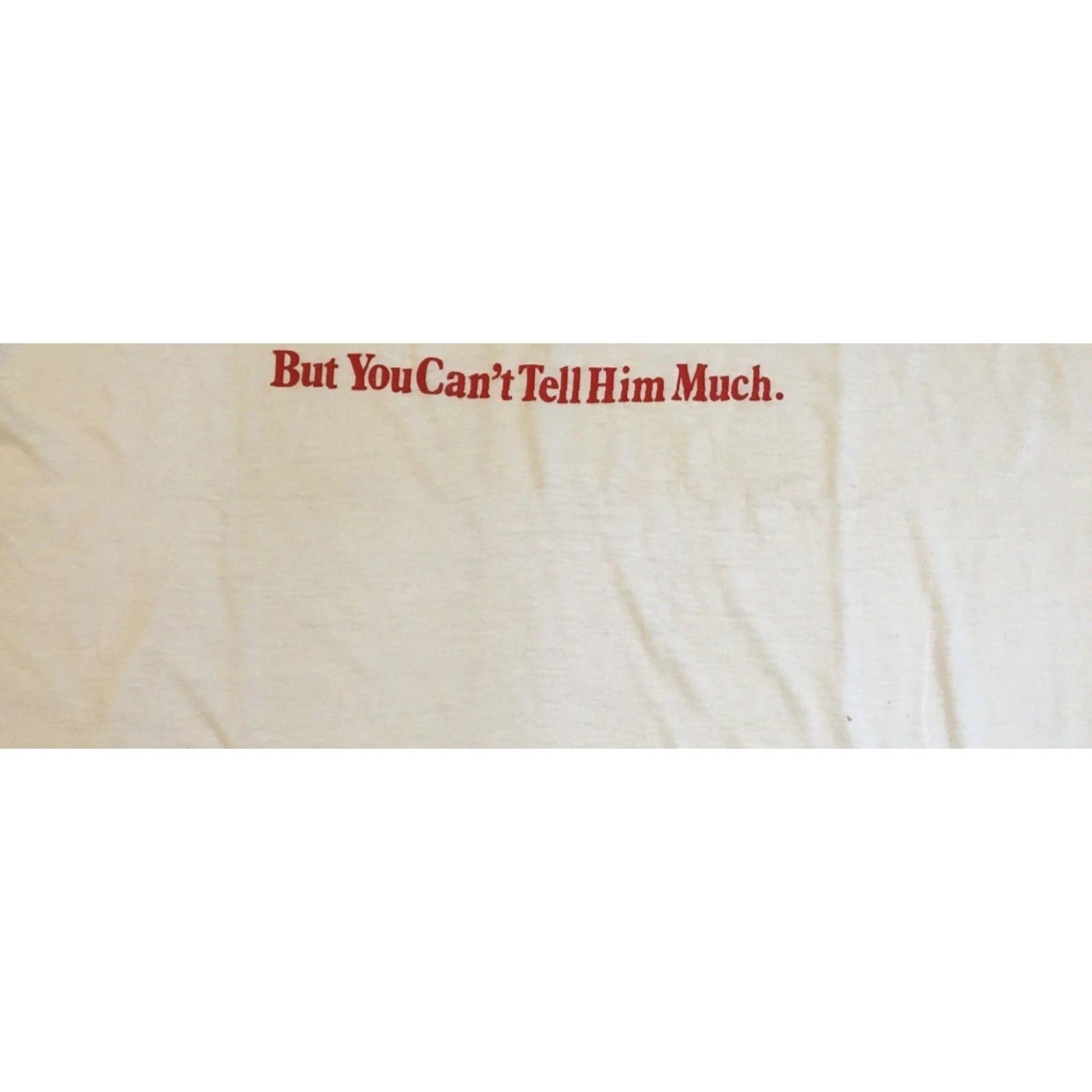 Vintage VINTAGE You Cant Tell A Norwegian Much Faded Distress Shirt M Funny Joke Grunge Nike? Size US M / EU 48-50 / 2 - 7 Thumbnail