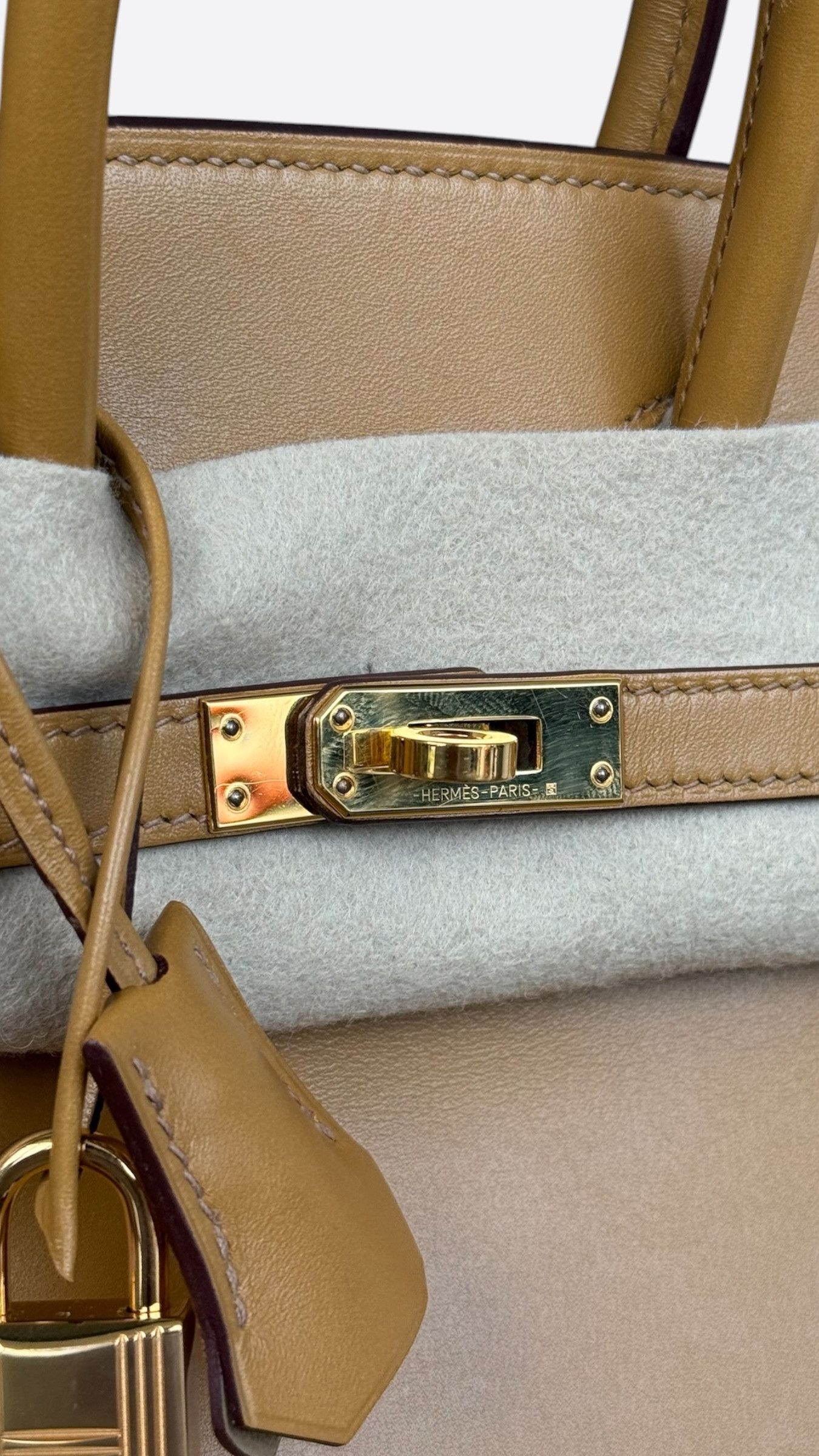 Hermes Hermes Biscuit Swift & Gold Hardware Birkin 25 Size ONE SIZE - 6 Thumbnail