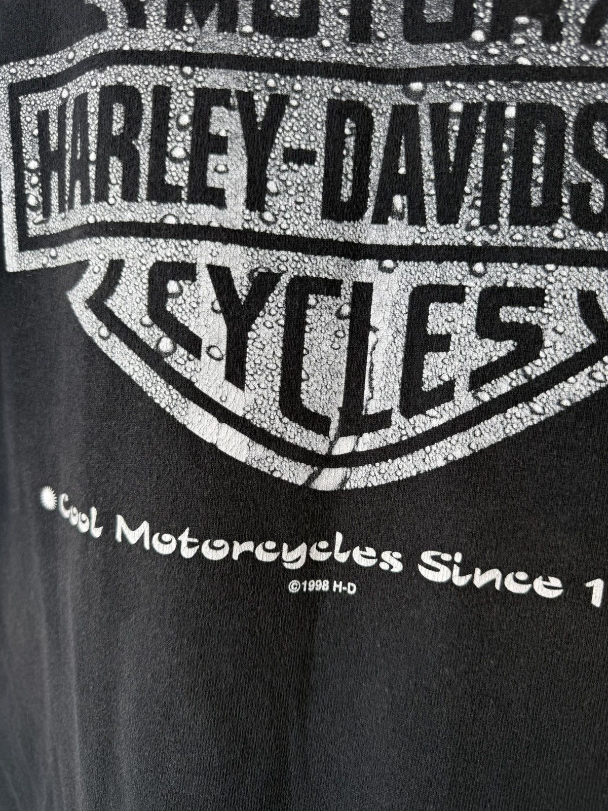 Harley Davidson Rare! Vintage 1998 Harley Davidson T Shirt Triumph Size US L / EU 52-54 / 3 - 3 Thumbnail