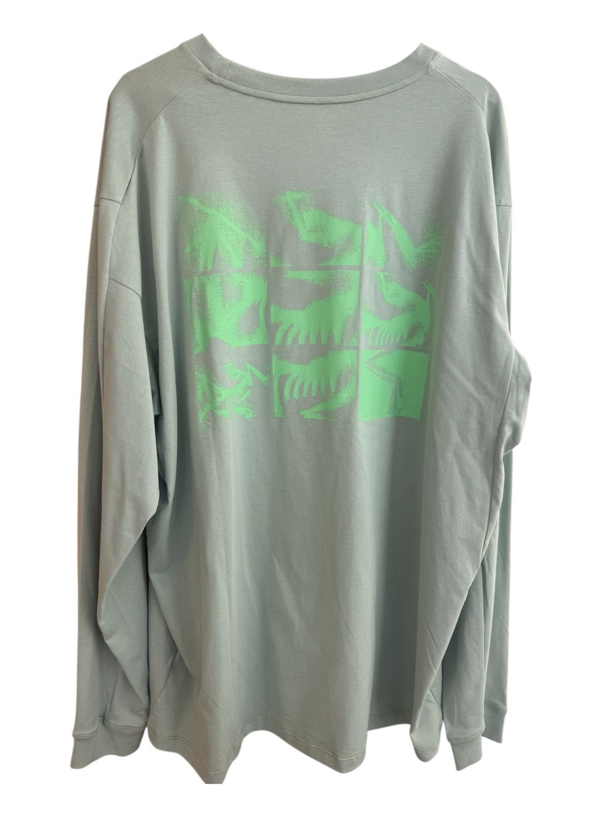 Arc'teryx Arcteryx System A Copal Long Sleeve Bird Tee Chalk | Grailed