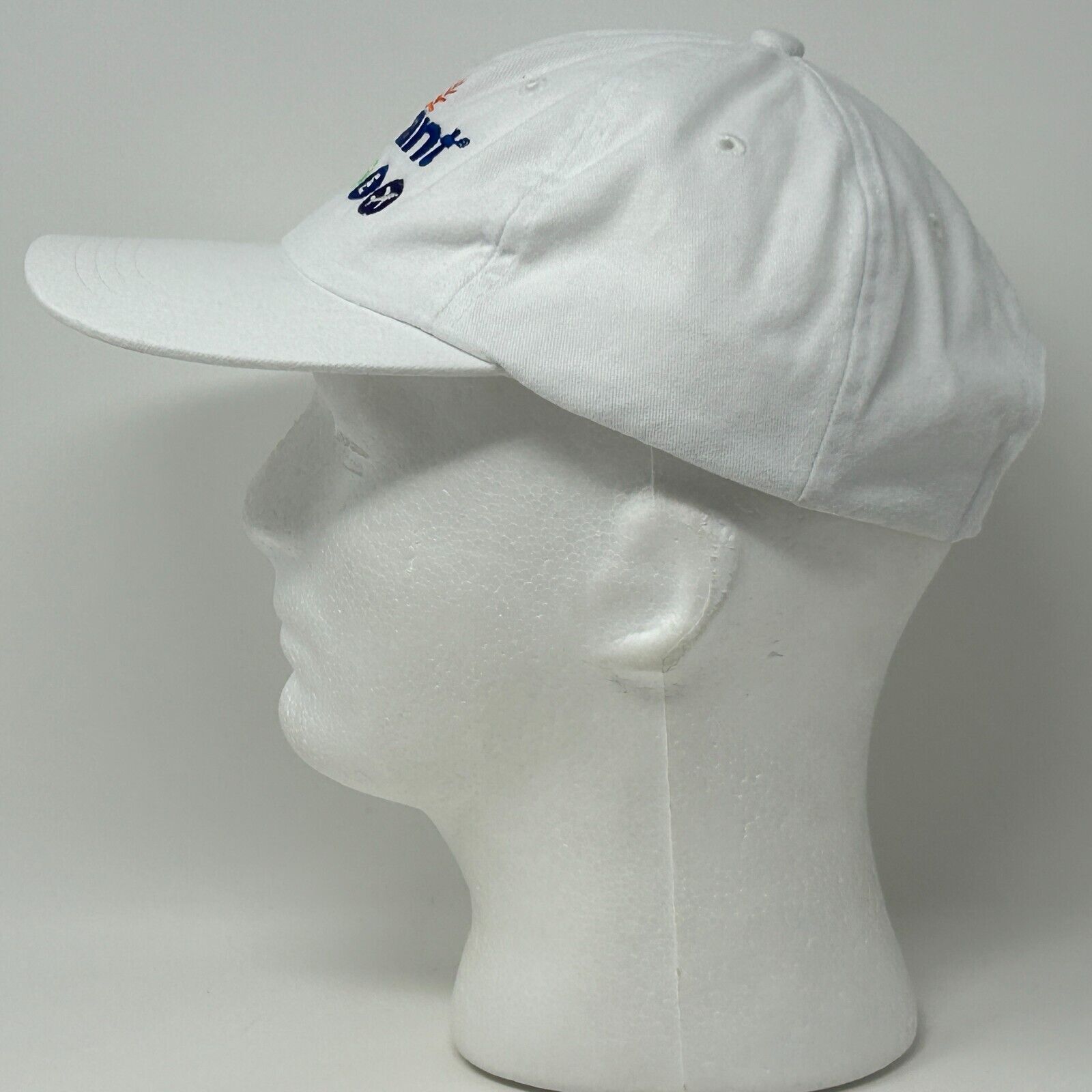 Vintage Allegiant Air Gay Pride Hat Baseball Cap LGBTQ Airlines Size ONE SIZE - 6 Thumbnail