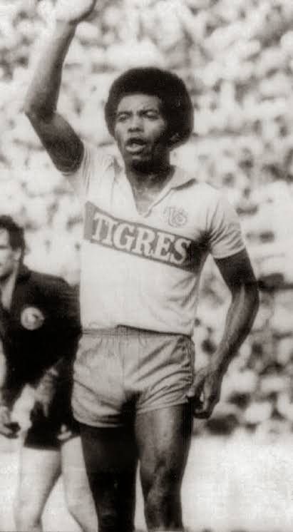 Vintage Vintage Fesago Tigres UANL #7 Barbadillo 1981/82 jersey Size US L / EU 52-54 / 3 - 8 Thumbnail