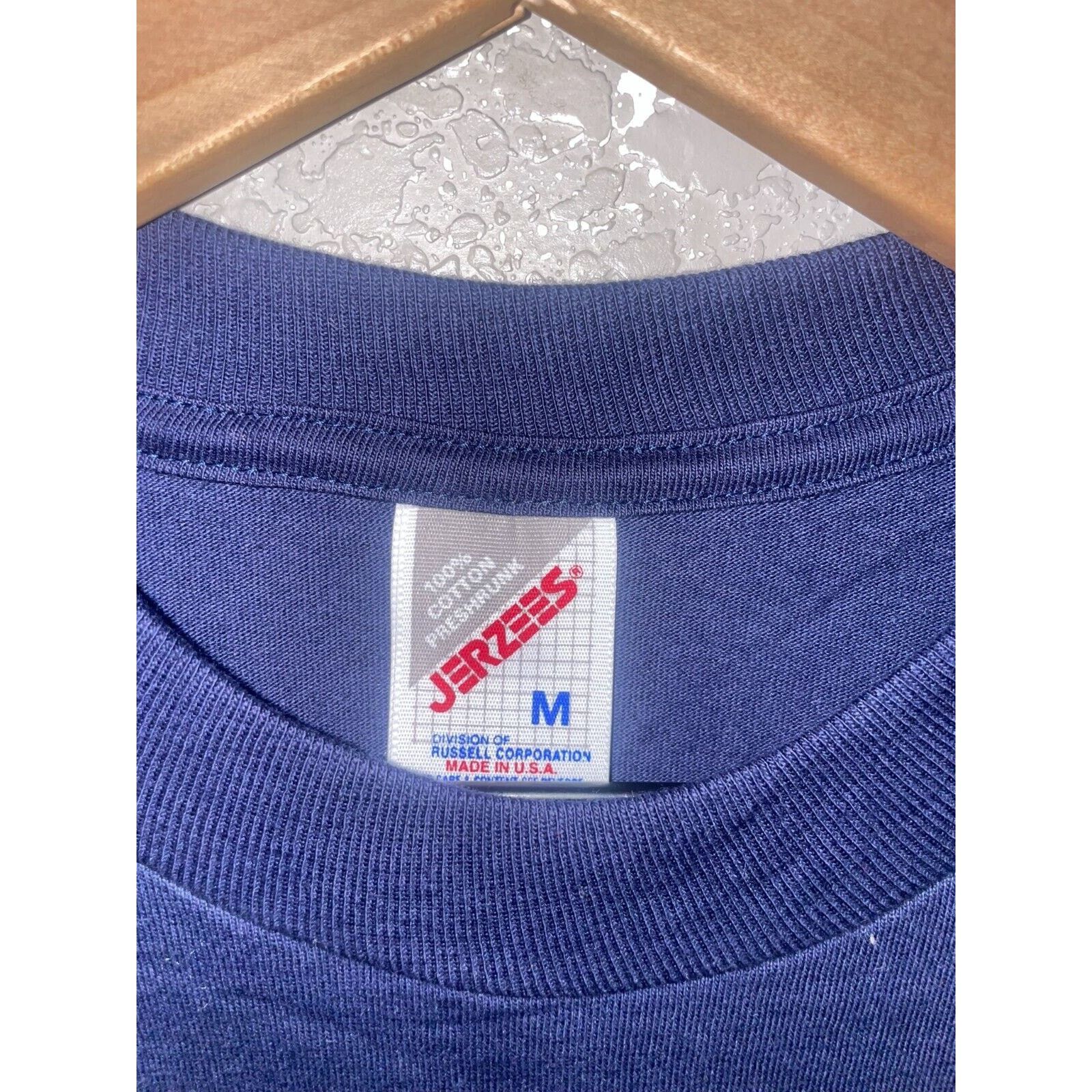 Jerzees Vintage Mount Rushmore Shirt President Bison Blue Tee 90s M Size US M / EU 48-50 / 2 - 8 Thumbnail