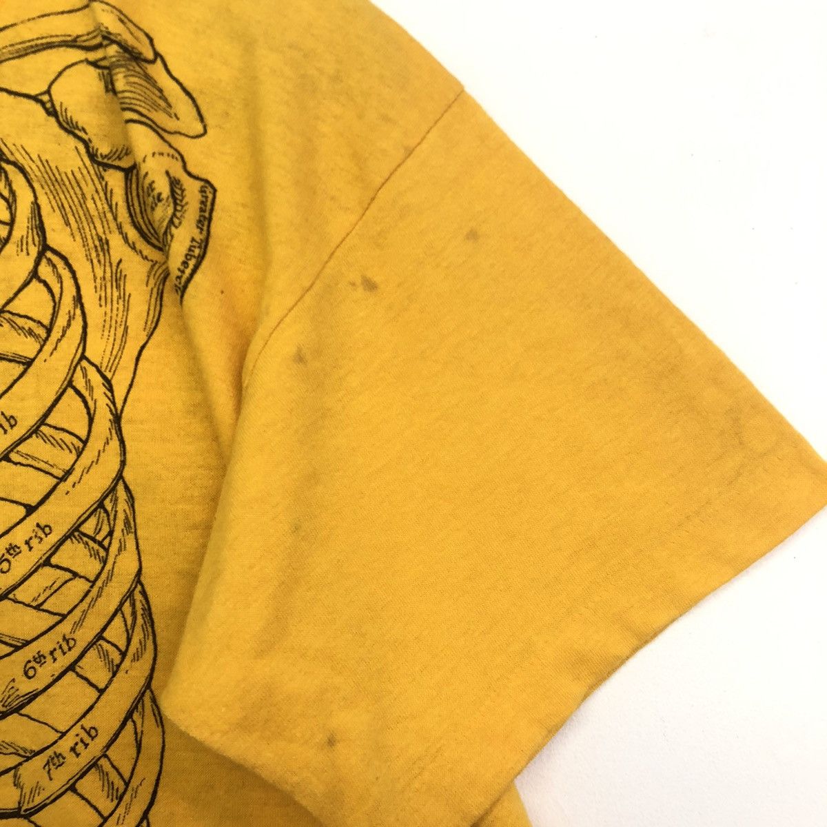 Art Comes First VINTAGE ART LESLIE ARWIN 1978 ANATOMY SKULL BONES TSHIRT Size US L / EU 52-54 / 3 - 6 Thumbnail