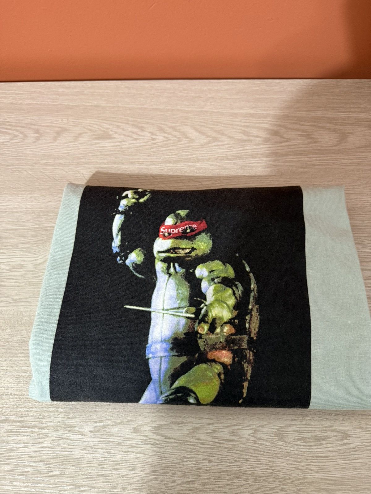 Supreme Teenage Mutant Ninja Turtles Raphael Teen Pale Aqua