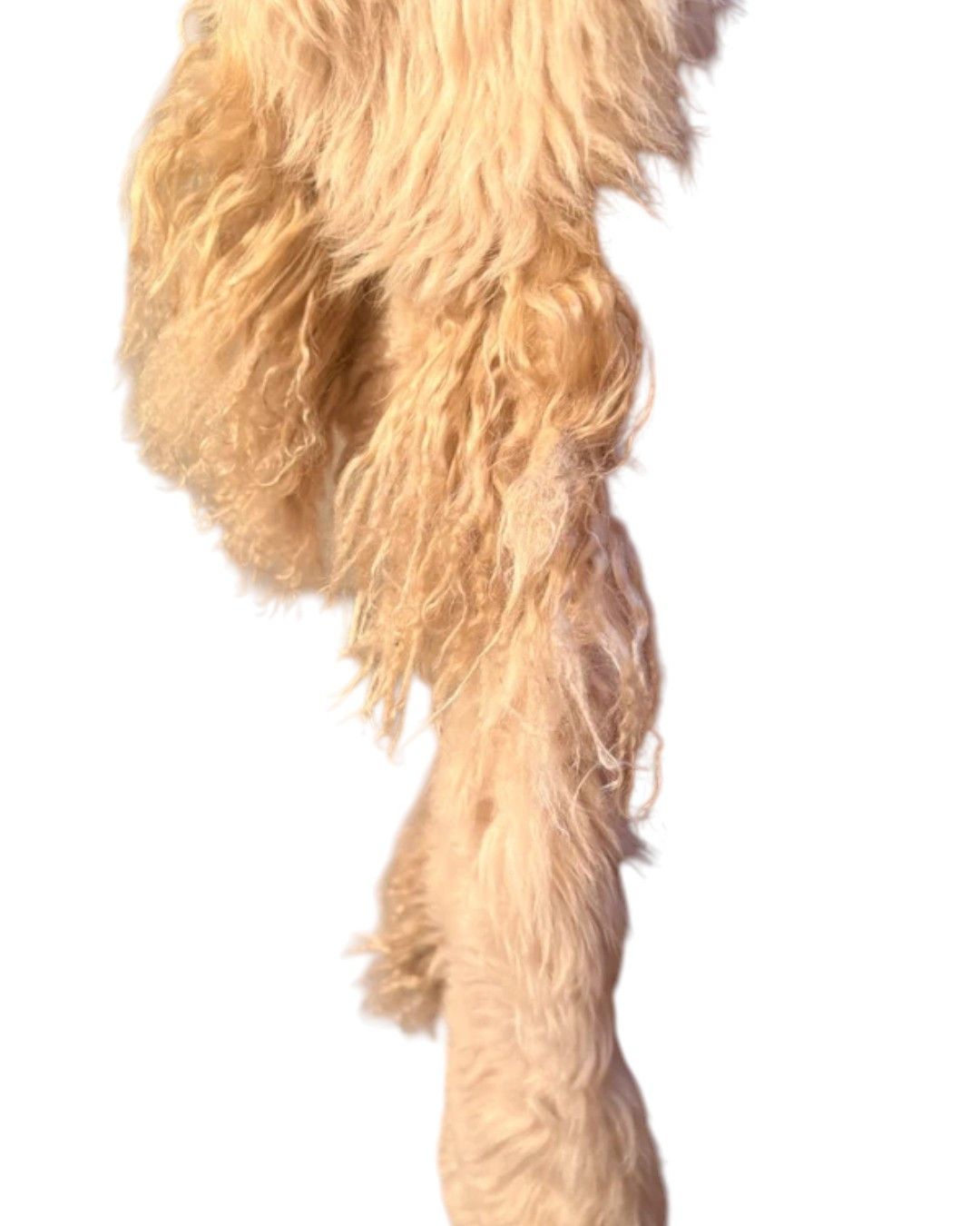 Roberto Cavalli UNIQUE LONG GENUINE LEATHER TEDDY SCARF Size ONE SIZE - 8 Thumbnail