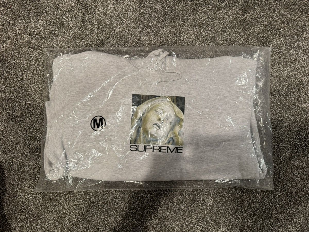 image of Supreme Ecstasy Hooded Sweatshirt in Grey, Men's (Size Medium)