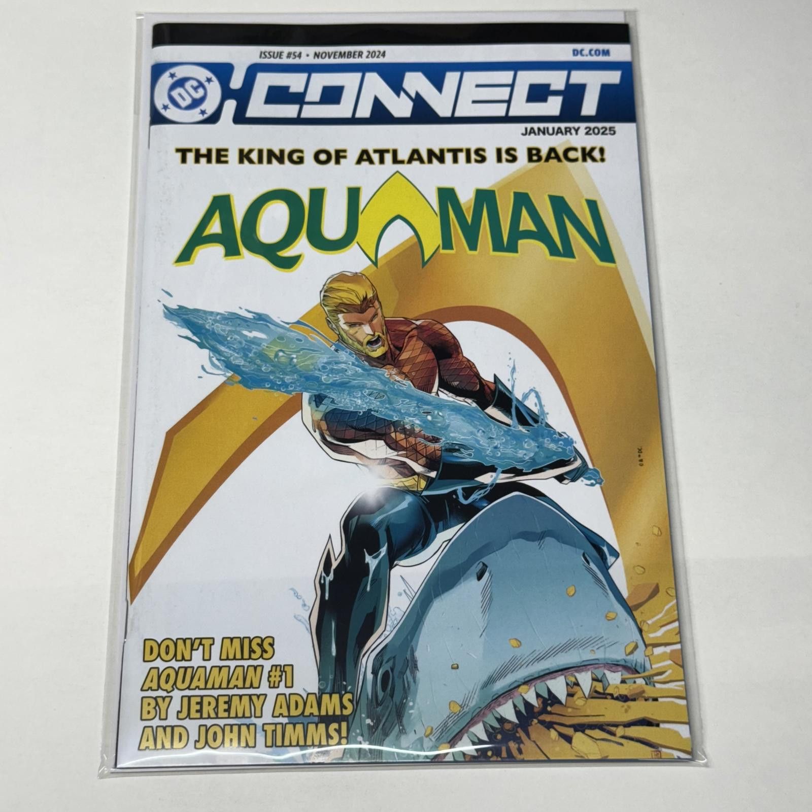 DC Comics DC Connect #54: Aquaman Returns Promo - November 2024 NM+ Size ONE SIZE - 9 Thumbnail