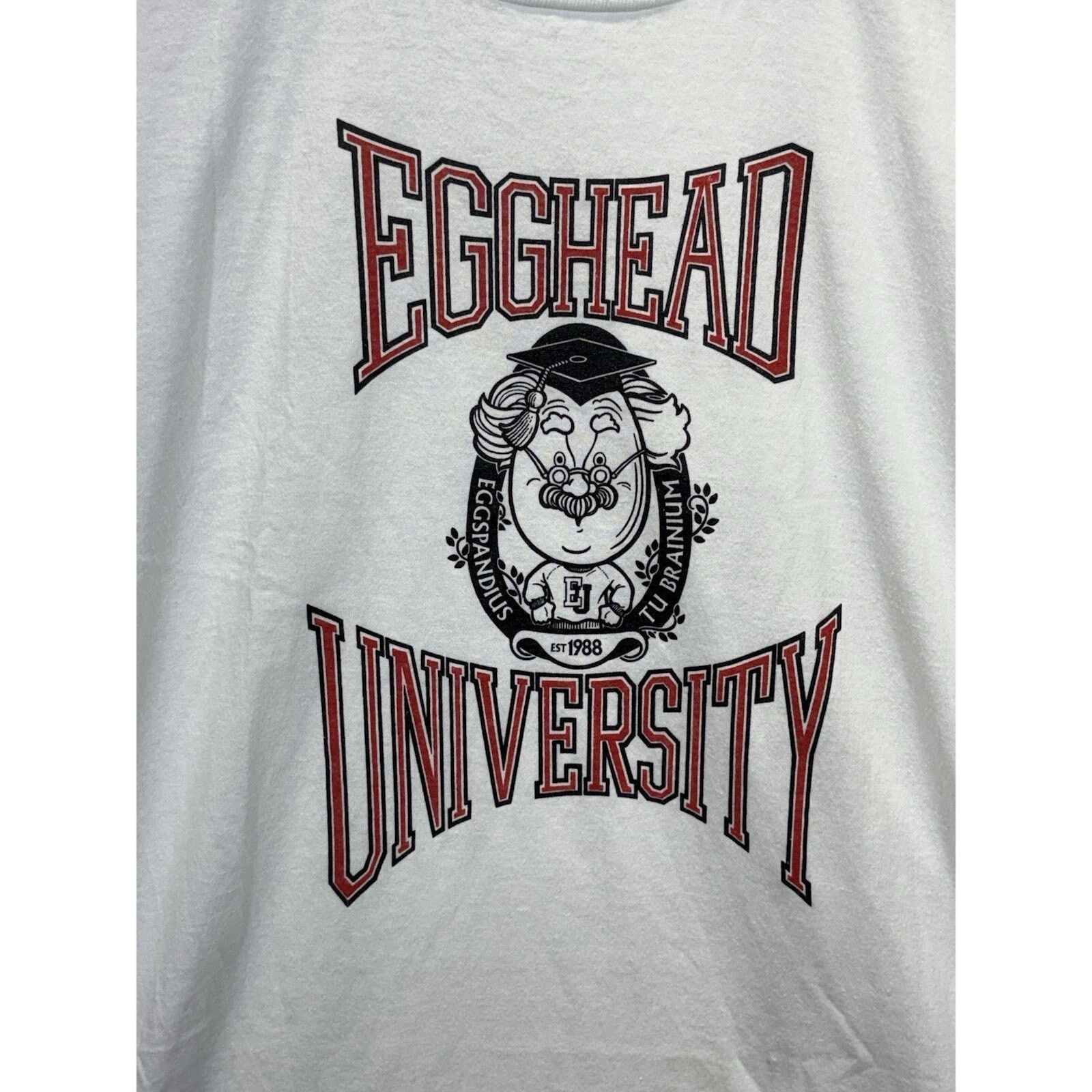 Jerzees Vintage Egghead University XXL T-shirt Single Stitch Sleeve Size US XXL / EU 58 / 5 - 8 Thumbnail