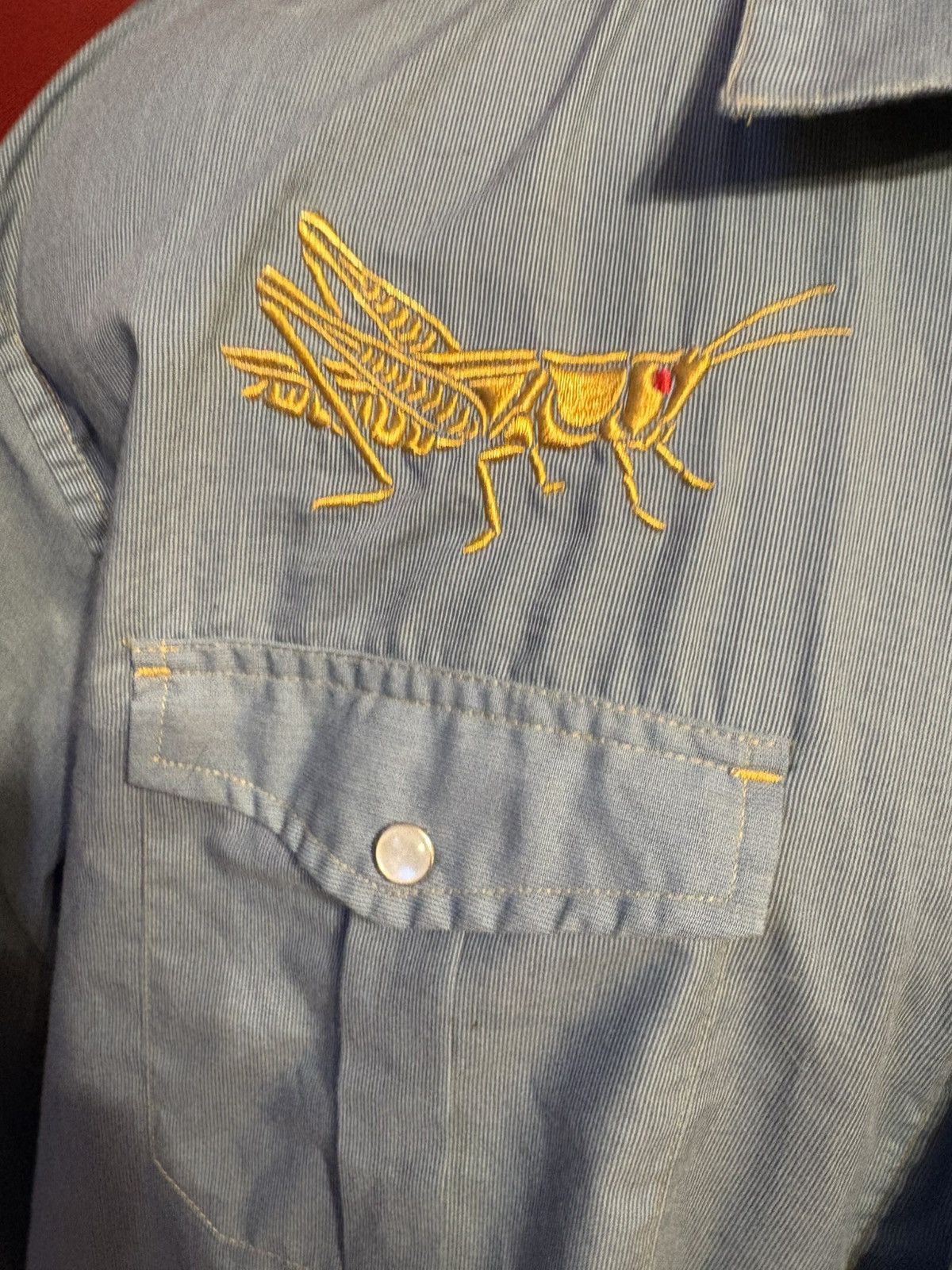 Howler Brothers Howler Brothers 10th Anniversary Button Up Grasshopper Size US XL / EU 56 / 4 - 2 Thumbnail