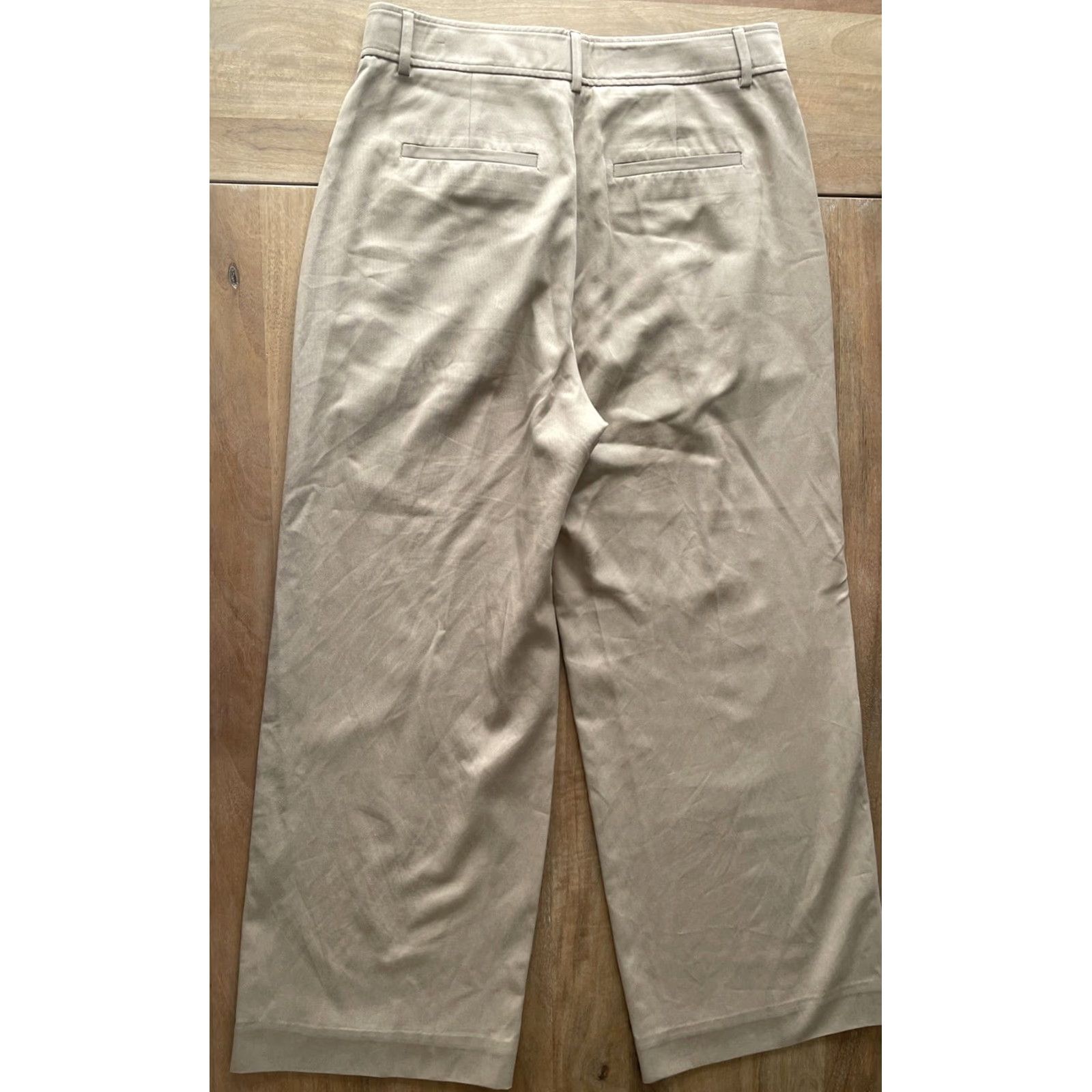 Everlane Everlane Pleated Wide-Leg Chino Pants Women 12S Beige Wide-Leg City Preppy Modern Career Womens Size 34" / US 12 / IT 48 - 2 Thumbnail