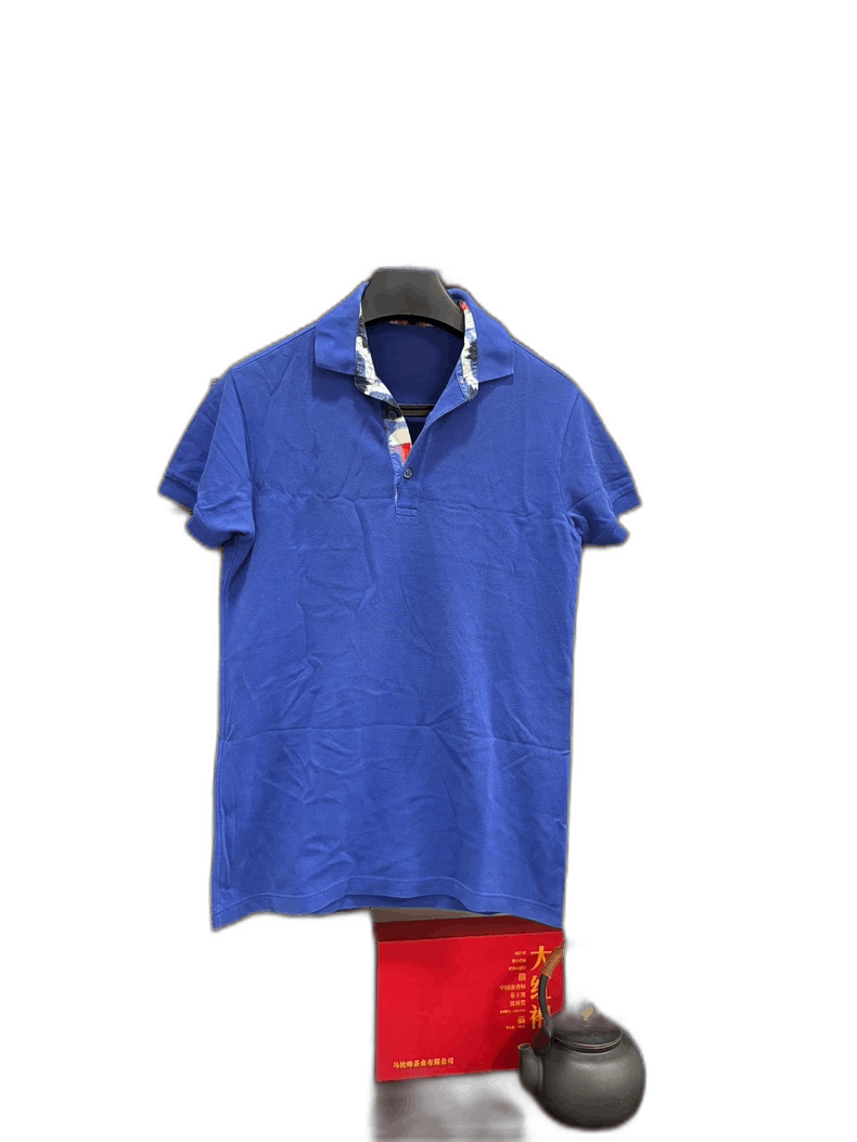 Dior Short Sleeve Polo Shirt for Men-2505
