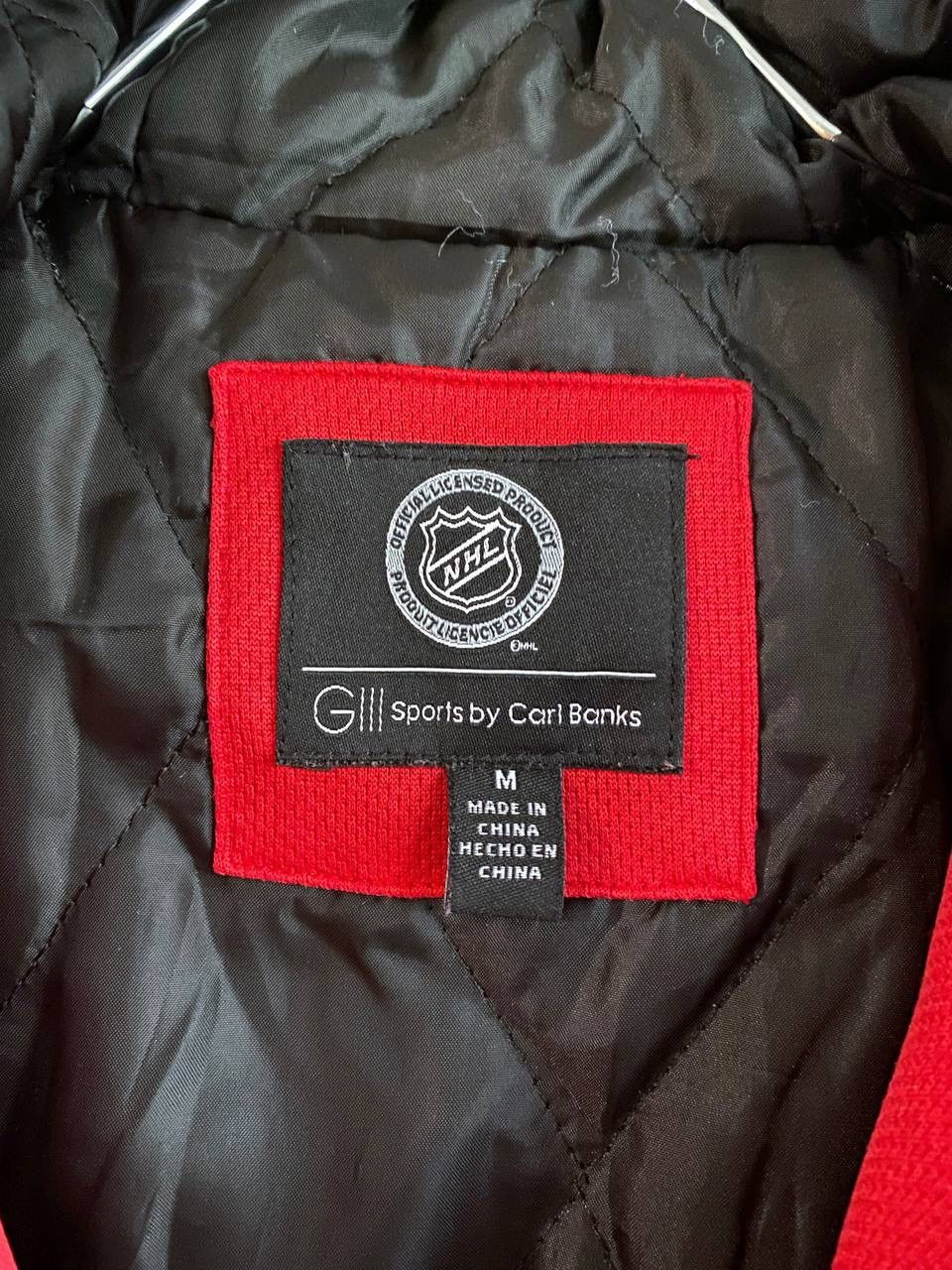 NHL NHL Detroit Red Wings Men's Jacket G-lll Sports by Carl Banks Size US M / EU 48-50 / 2 - 13 Thumbnail