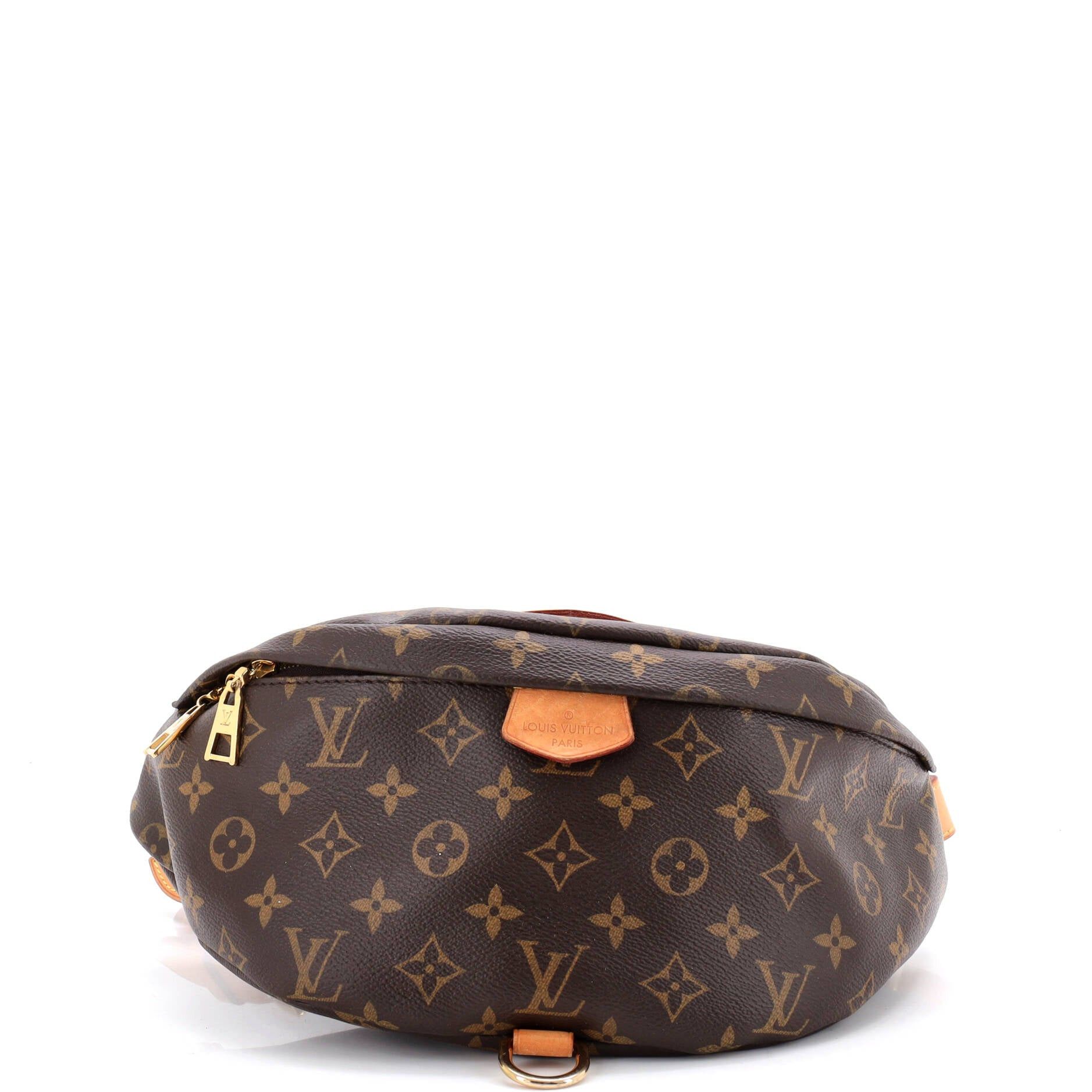 Louis Vuitton Bum Bag Size ONE SIZE - 1 Thumbnail