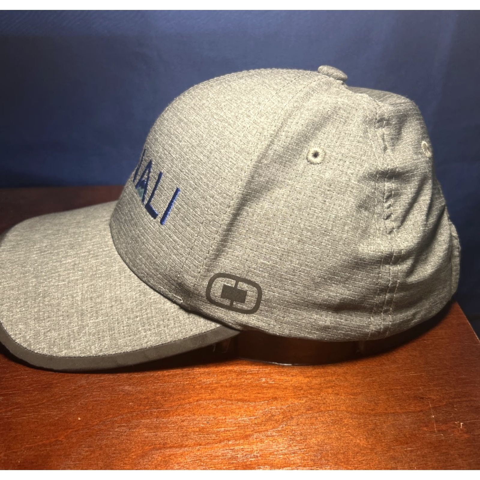 Vintage OGIO Denali National Park Unisex Hats Adjustable Baseball Cap Gray One Size Men/Unisex Outdoor Polyester Size US M / EU 48-50 / 2 - 2 Thumbnail