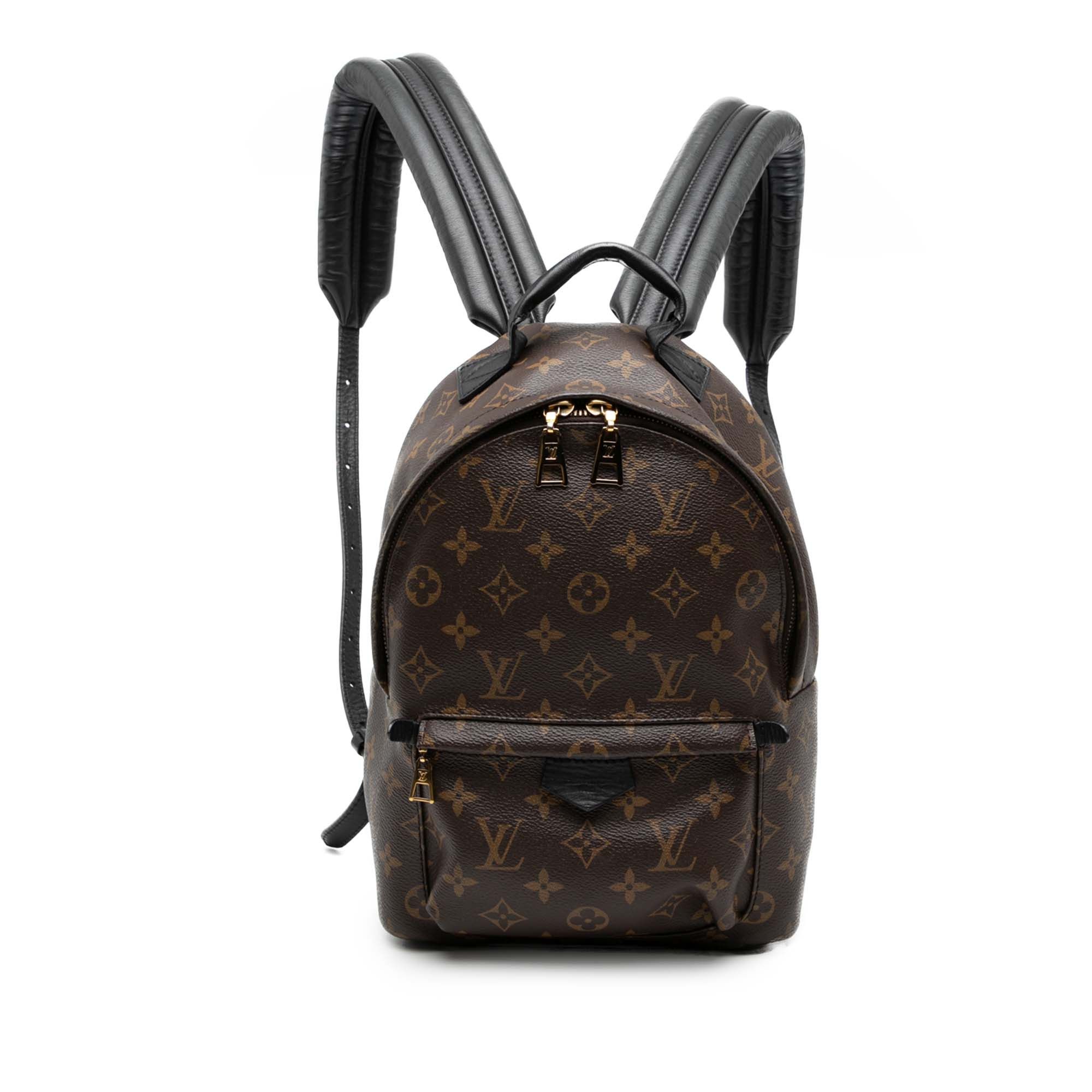Louis Vuitton Monogram Palm Springs PM Size ONE SIZE - 1 Thumbnail