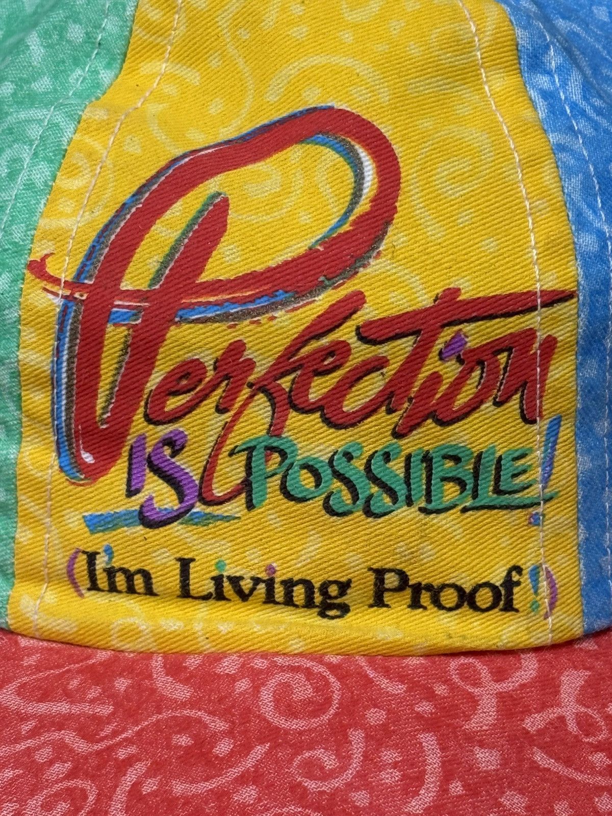 Vintage Vintage Perfection Is Possible Im Living Proof Strapback Hat Size ONE SIZE - 2 Thumbnail