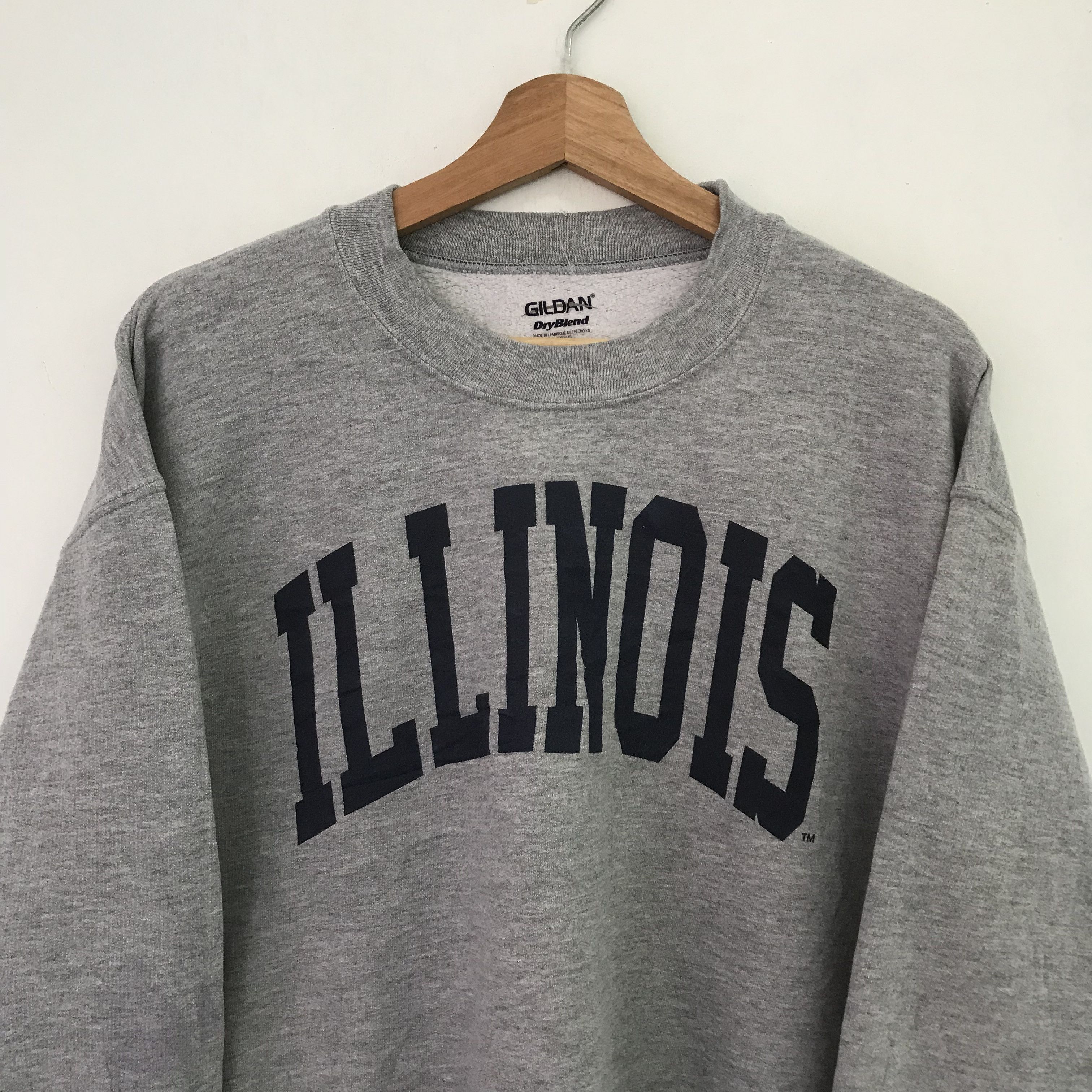 Vintage Vintage University Illinois Gray Sweatshirt - 653 Size US M / EU 48-50 / 2 - 6 Thumbnail