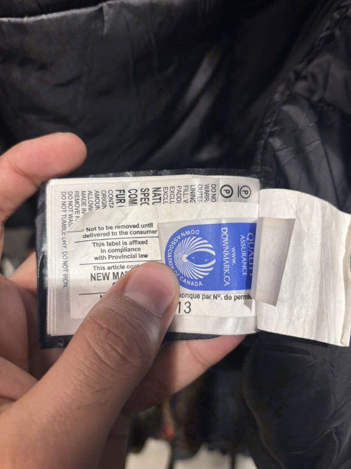 Canada Goose Canada goose parka black lable Size US L / EU 52-54 / 3 - 9 Thumbnail
