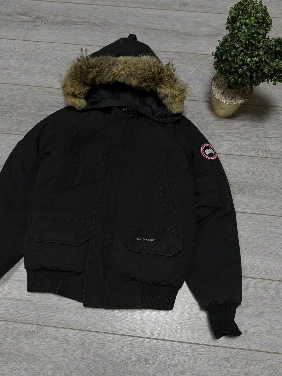 Canada Goose Canada Goose chilliwack bomber fur jacket down Size US S / EU 44-46 / 1 - 3 Thumbnail
