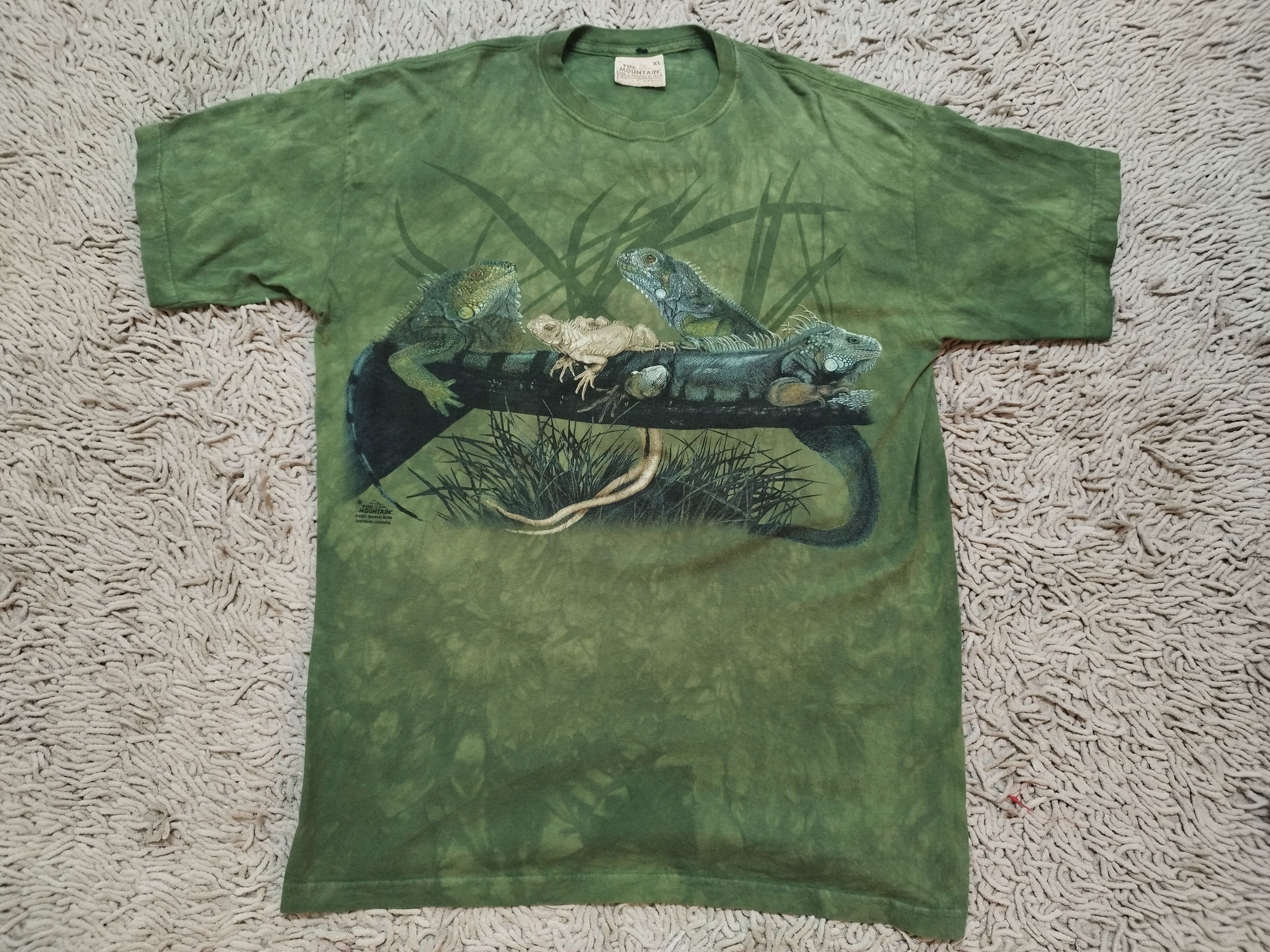 The Mountain The Mountain Camaleon Men's Green T-shirt Size US XL / EU 56 / 4 - 1 Thumbnail