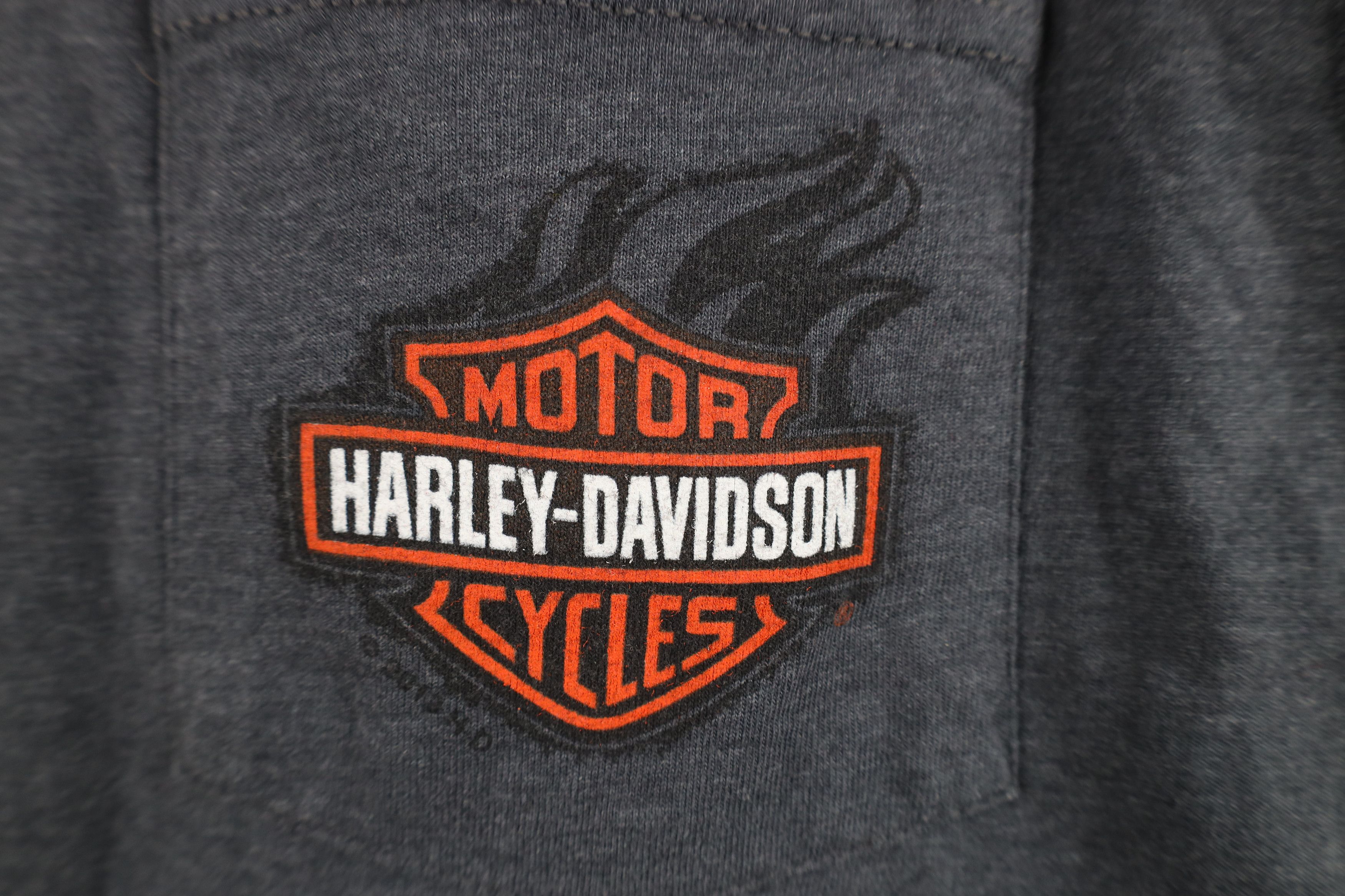 Harley Davidson Vintage Y2K Harley Davidson Spell Fire Flames Pocket T-Shirt Size US L / EU 52-54 / 3 - 4 Thumbnail