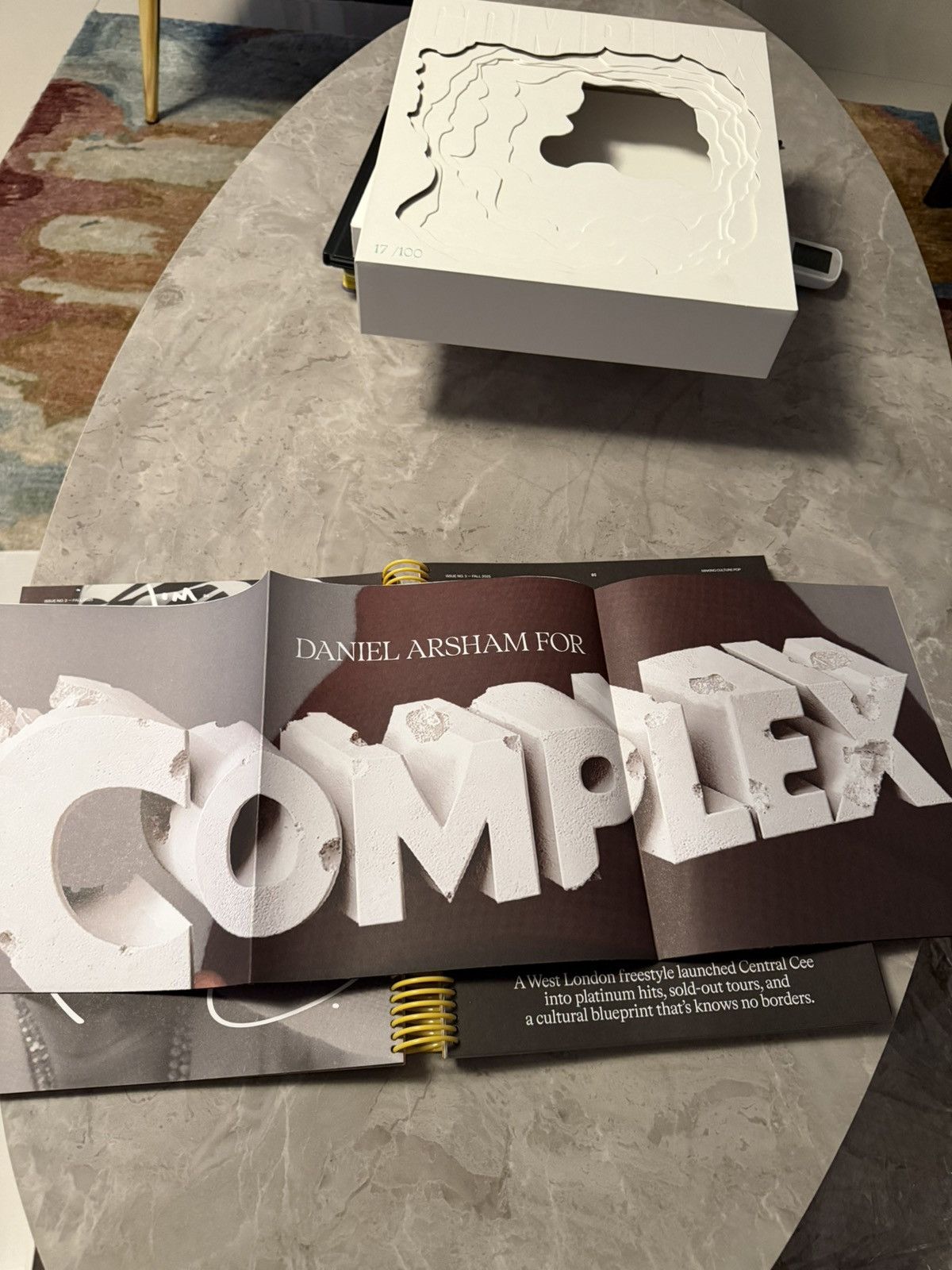 Daniel Arsham Daniel Arsham Central Cee Limited To 100 Book for Complexcon Size ONE SIZE - 10 Thumbnail