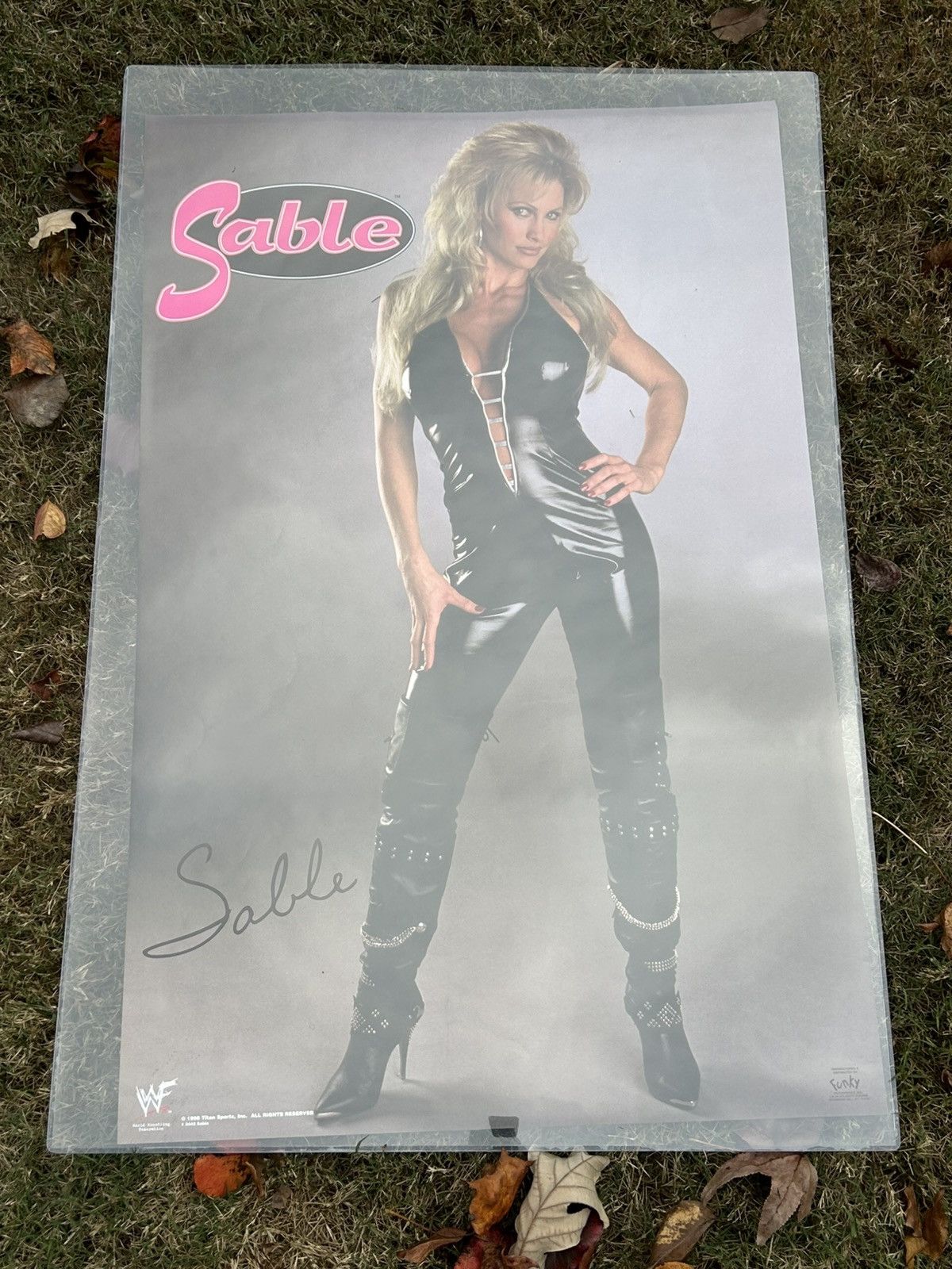 Other Original 1998 wwf sable poster Size ONE SIZE - 1 Thumbnail