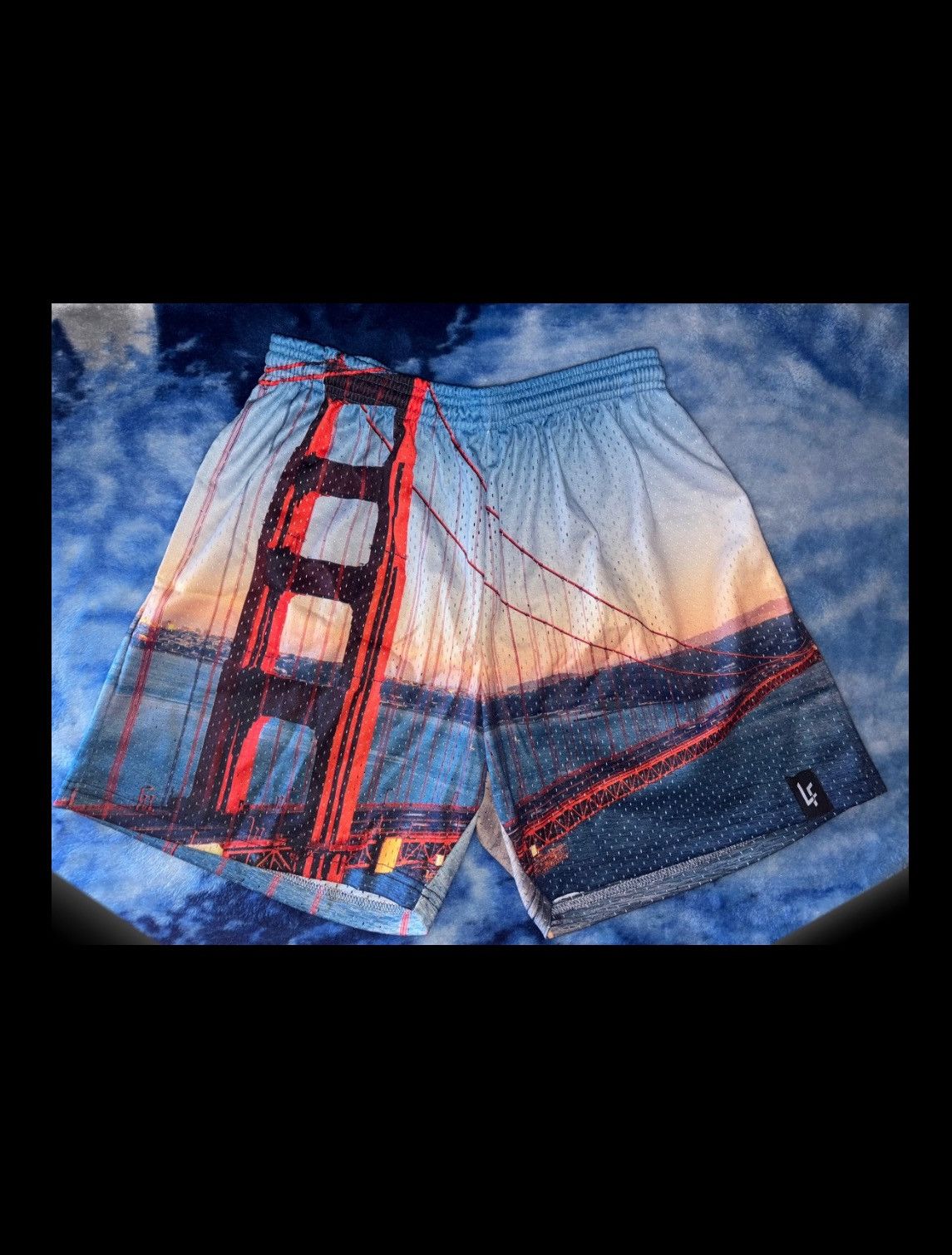 Other ‘Lost Files’ Golden Gate Bridge Shorts Size Large BRAND NEW Size US 34 / EU 50 - 1 Thumbnail