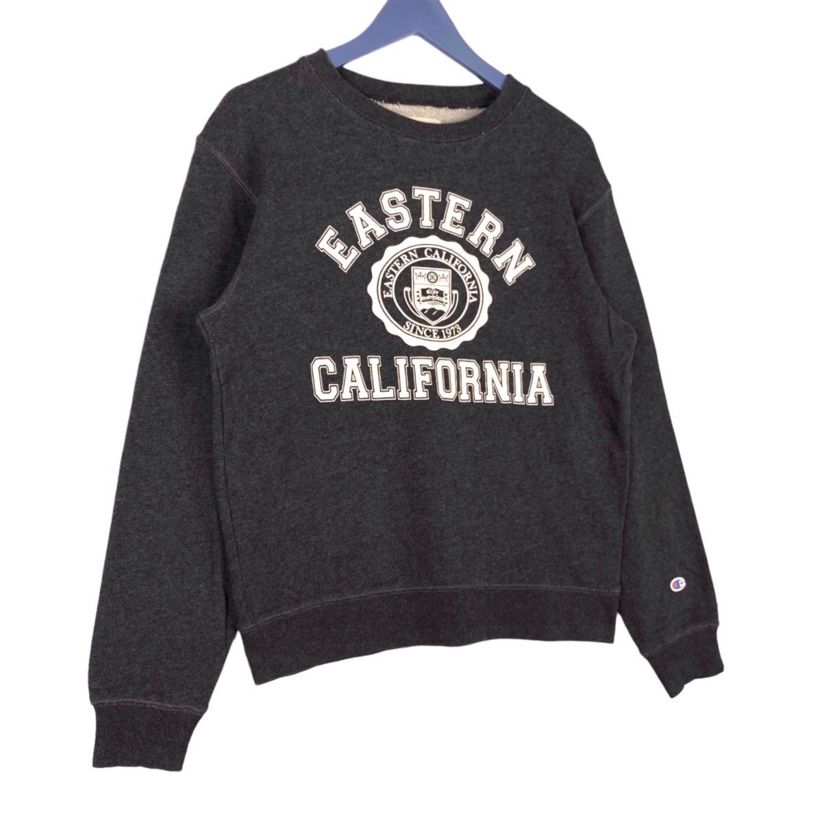Champion × Vintage Vintage Champion Printed Crewneck Sweatshirt Dark Gray Size US M / EU 48-50 / 2 - 3 Thumbnail