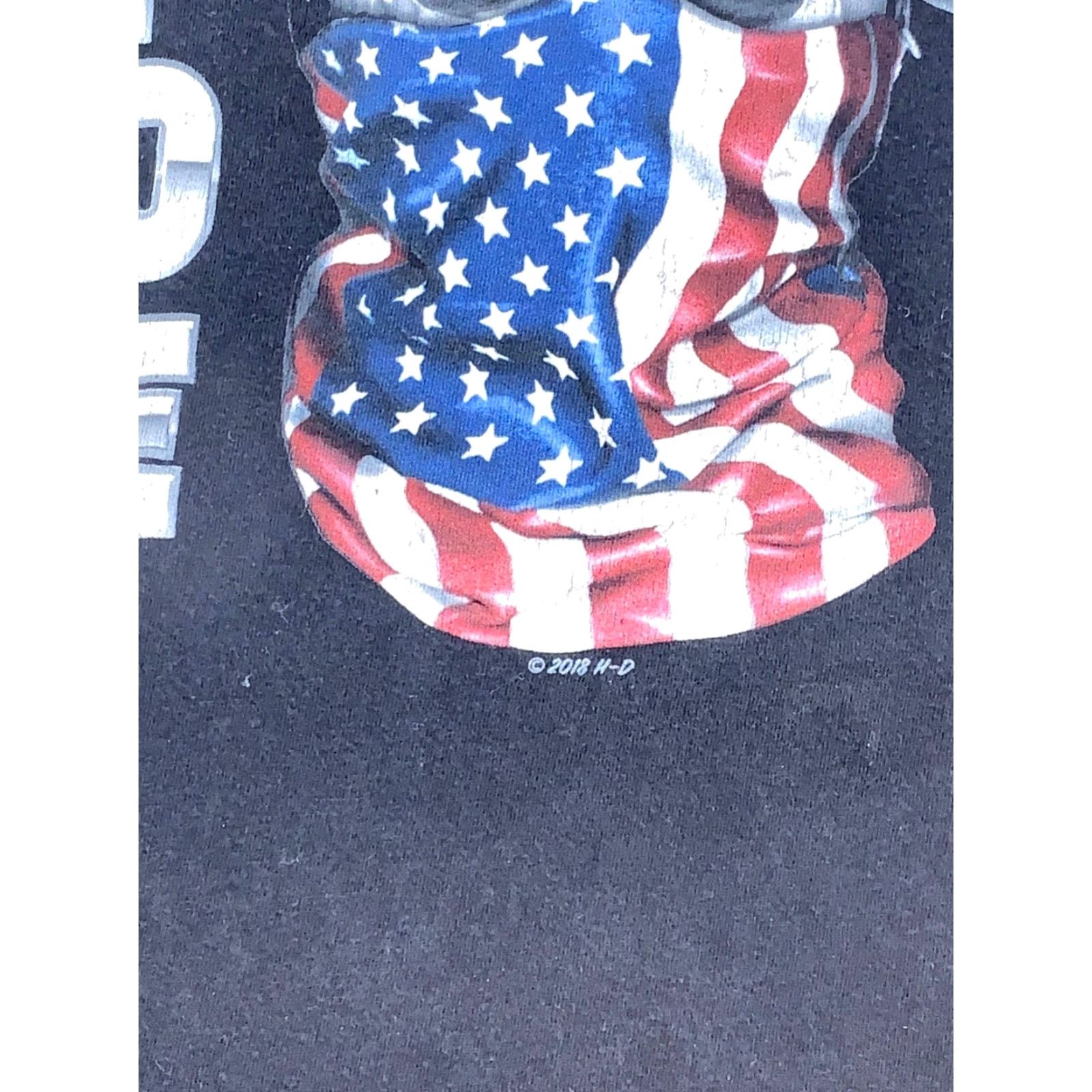 Harley Davidson Harley Davidson Born to Ride Land of the Free T Shirt S Black Motorcycle 11050 Size US S / EU 44-46 / 1 - 4 Thumbnail