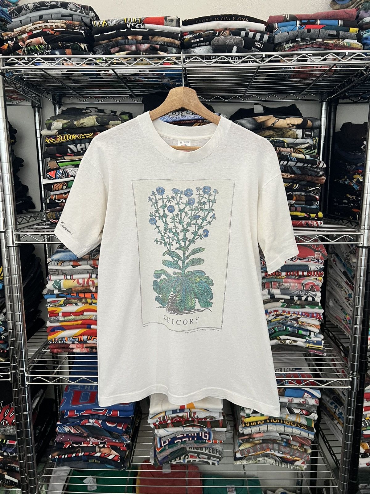 Arts & Science 1988 Chicory Maureen O’brien Plant Tee 80s Cypress Gardens Size US M / EU 48-50 / 2 - 1 Thumbnail