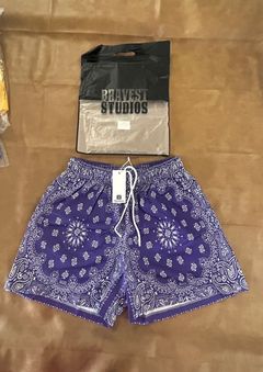 Bravest Studios 2021 Jogger Shorts - Blue, 11.75 Rise Shorts, Clothing -  WBSRT20002