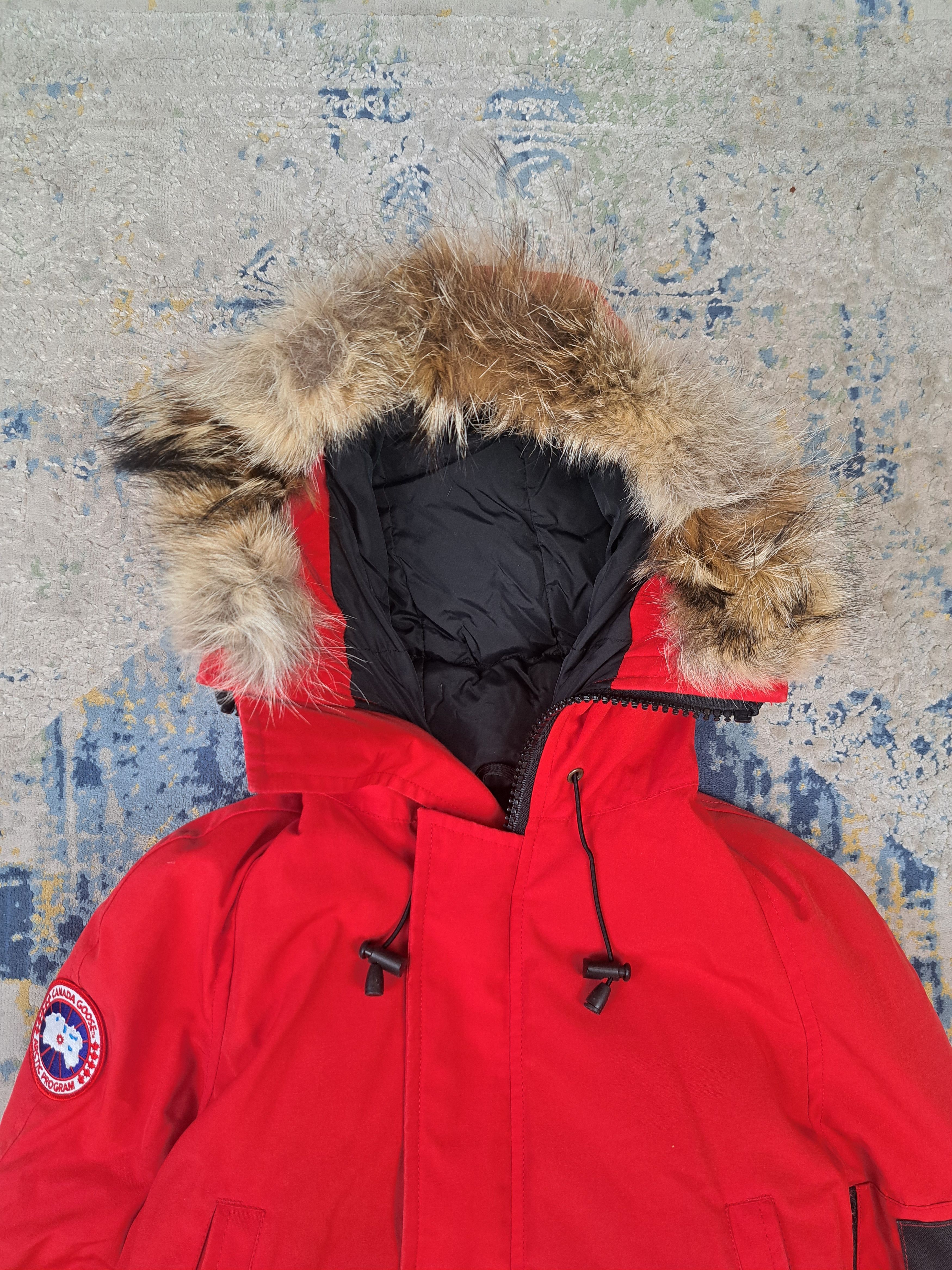 Canada Goose Canada Goose Chilliwack Fur Bomber Jacket Size 3XS RRP $1295 Size US XXS / EU 40 - 5 Thumbnail