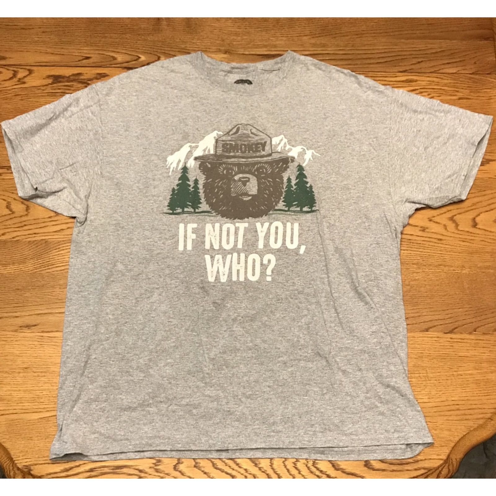 Vintage Smokey The Bear XL Official "IF NOT YOU, WHO?" Gray T-Shirt Forest Fires 1005 Mens XL Gray Fire Crew Neck Short Sleeve Shirt Size US XL / EU 56 / 4 - 3 Thumbnail