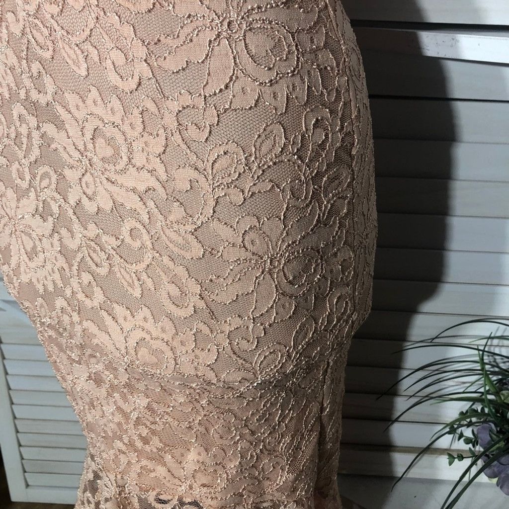 Windsor Smith NWOT Windsor Chantilly Bodycon Dress Lace Mermaid Hem Pink L Size L / US 10 / IT 46 - 9 Thumbnail