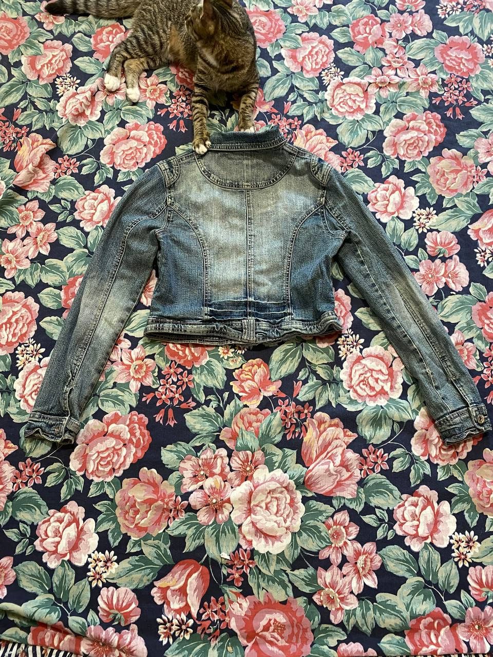 Miss Sixty Vintage Miss Sixty Denim Jacket Size M Size M / US 6-8 / IT 42-44 - 15 Thumbnail
