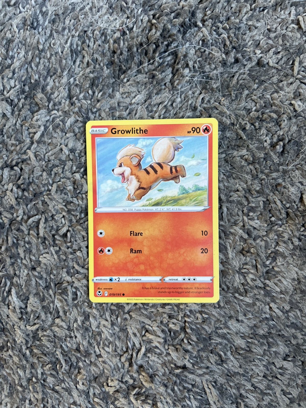 Pokemon 2022 Pokémon Growlithe Basic Card Size ONE SIZE - 1 Thumbnail