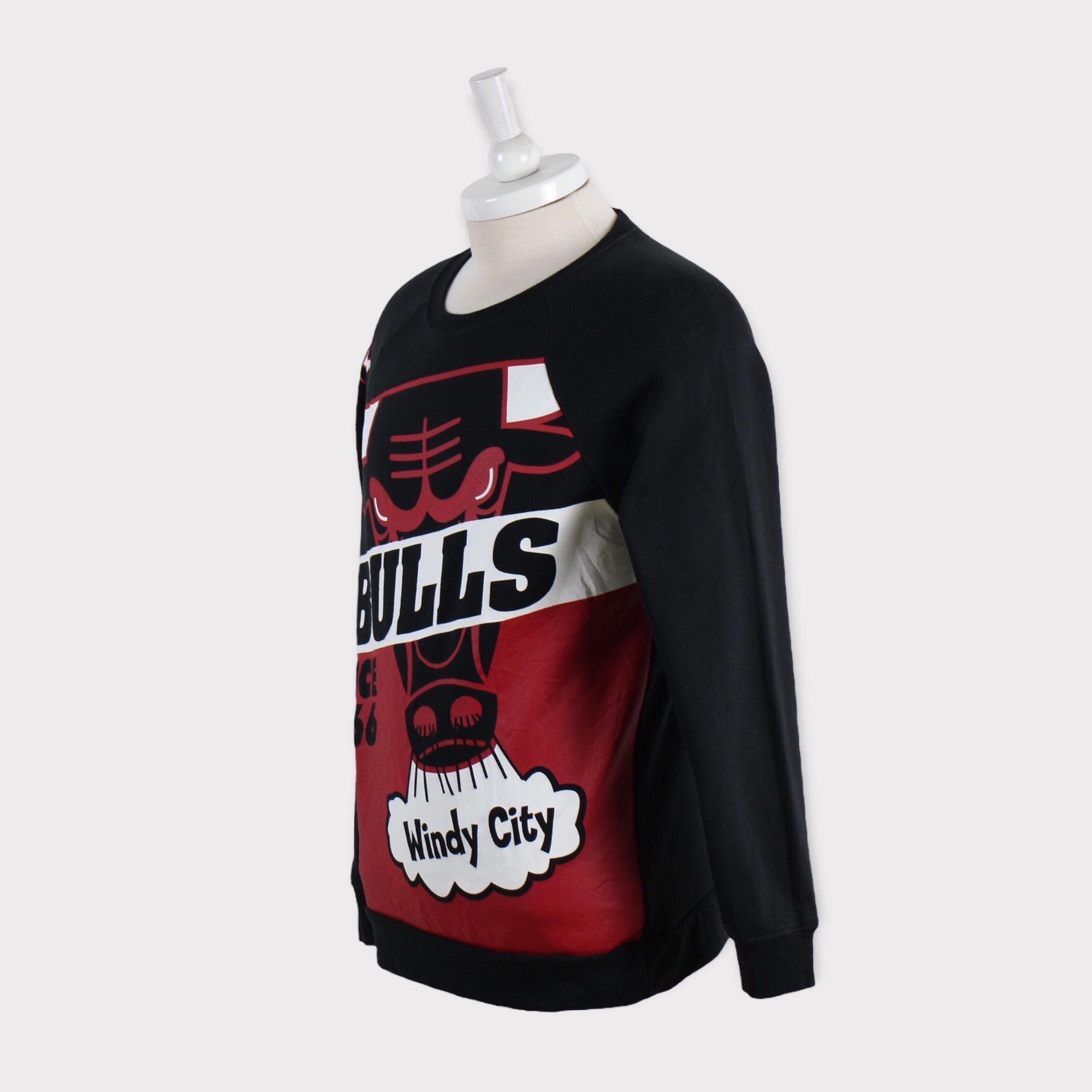 Vintage 90s Chicago Bulls Sweatshirt/Tshirt/Gift/Hoodie