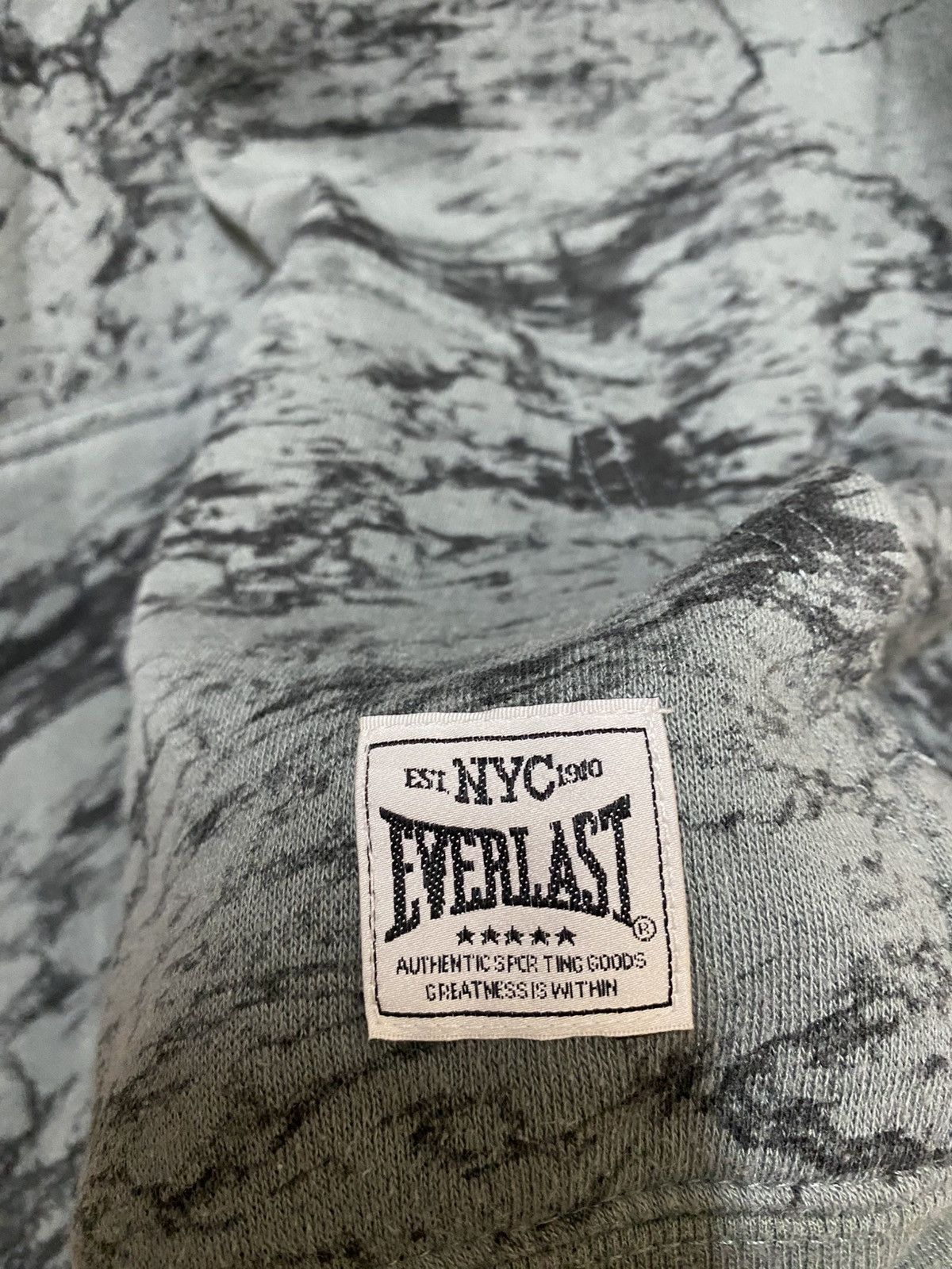 Everlast Everlast Hoodie Overprint Big Logo Size US M / EU 48-50 / 2 - 4 Thumbnail