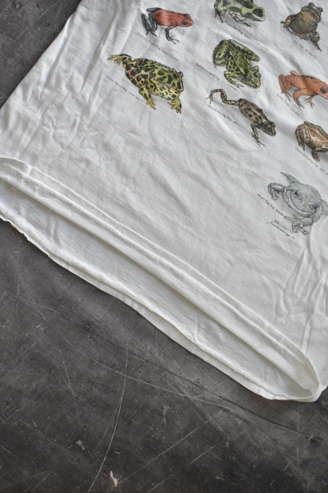 Vintage Vintage 90s ‘Frogs of the World’ T-Shirt (L) Size US L / EU 52-54 / 3 - 5 Thumbnail