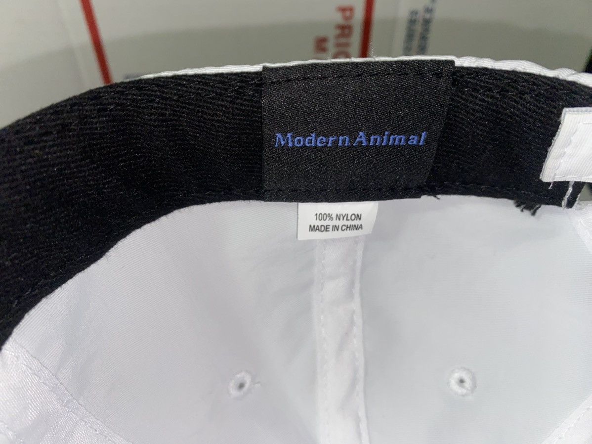 Other Modern Animal Nylon baseball cap hat Brand Company Vet Dogs Size ONE SIZE - 5 Thumbnail