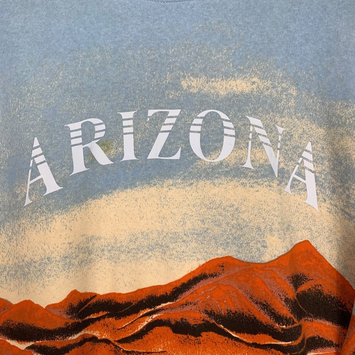 ARIZONA Nature Graphics Printed Sweatshirts #1879-C82