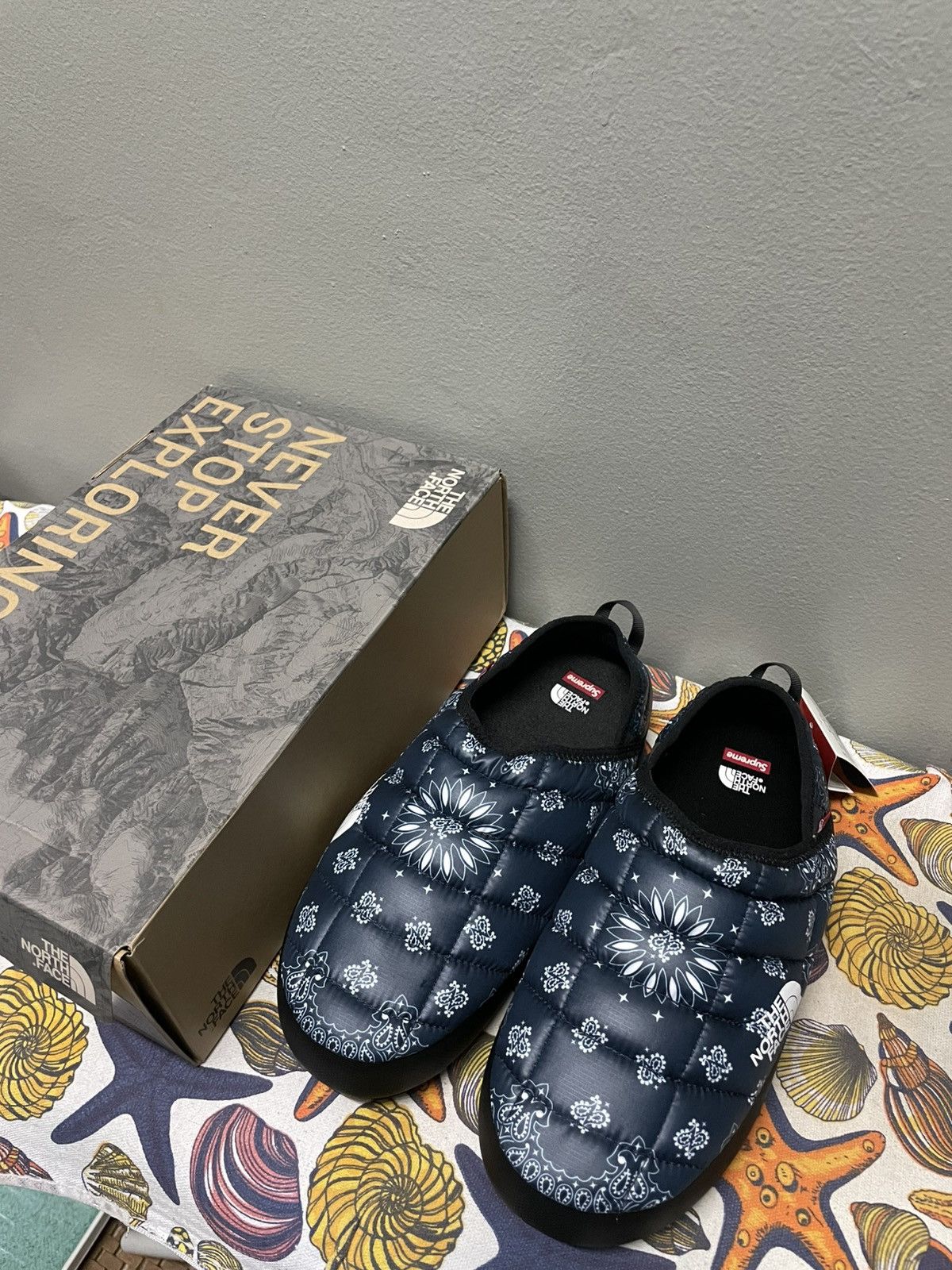 Supreme × The North Face Supreme The North Face Bandana Mule FW14 