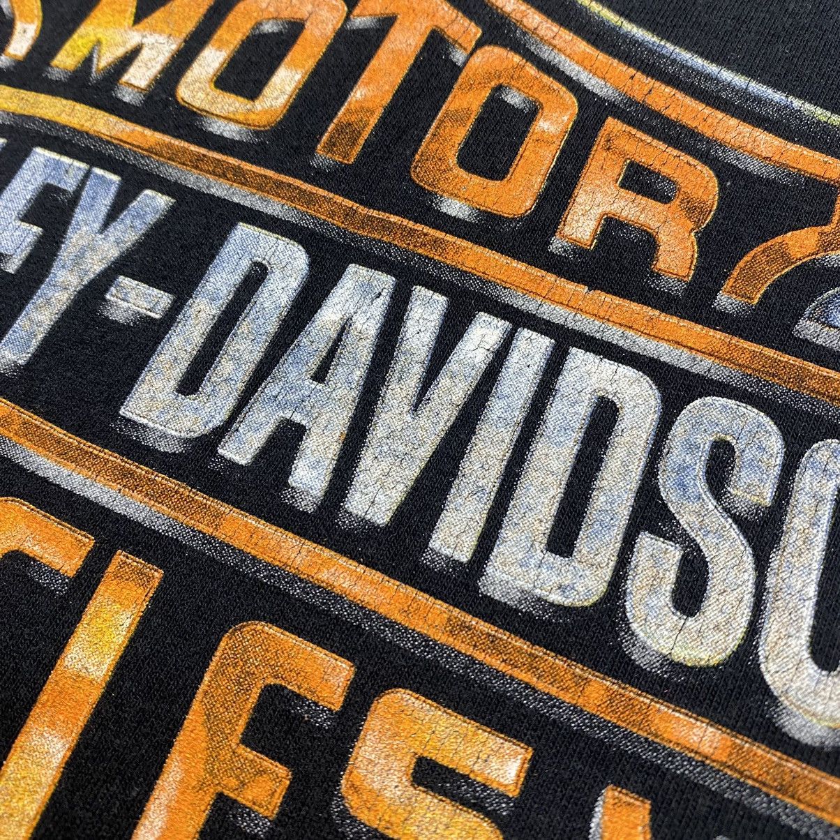 Band Tees Vintage Harley Davidson 2005 Big Graphic Logo Rock Band tee Size US L / EU 52-54 / 3 - 6 Thumbnail